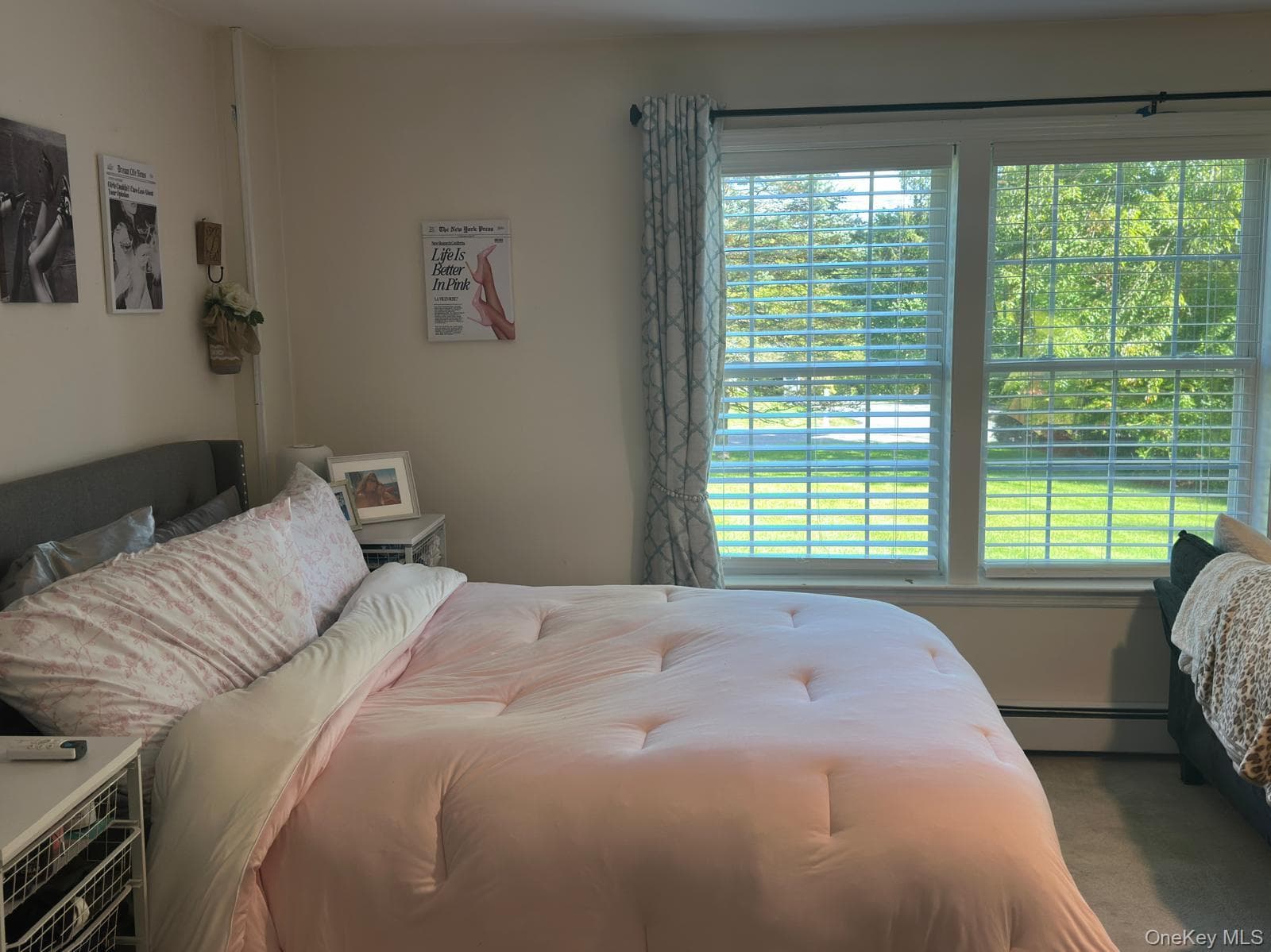 5 Meadow Drive thumbnail 10