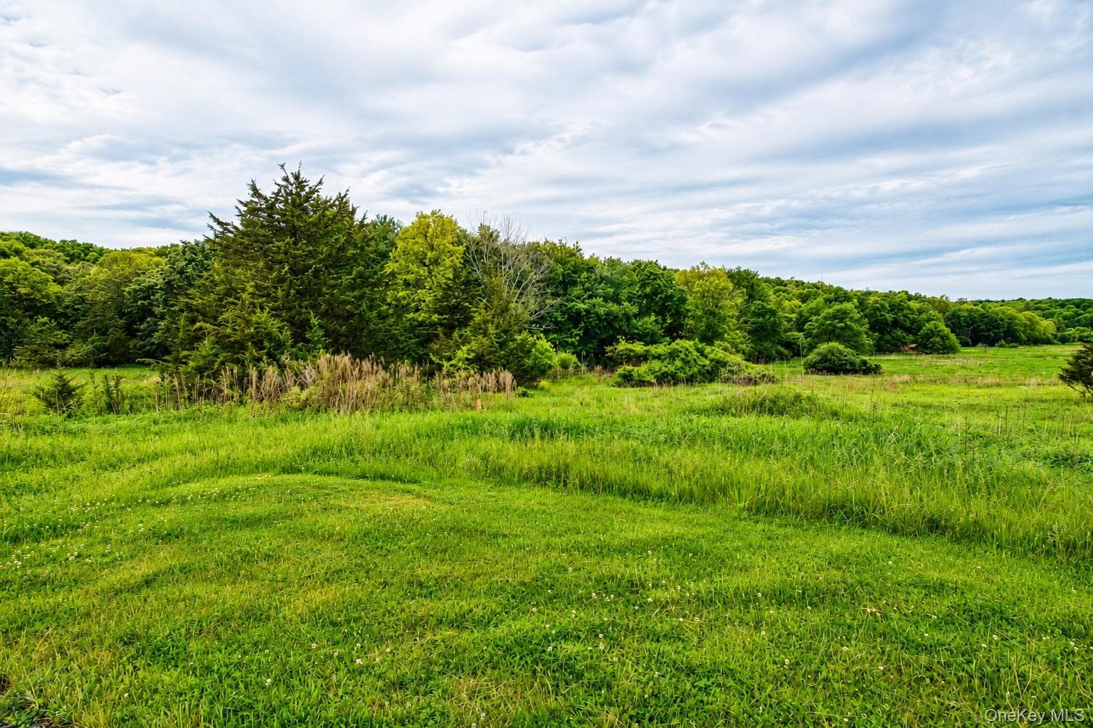 492 Black Meadow Road thumbnail 11