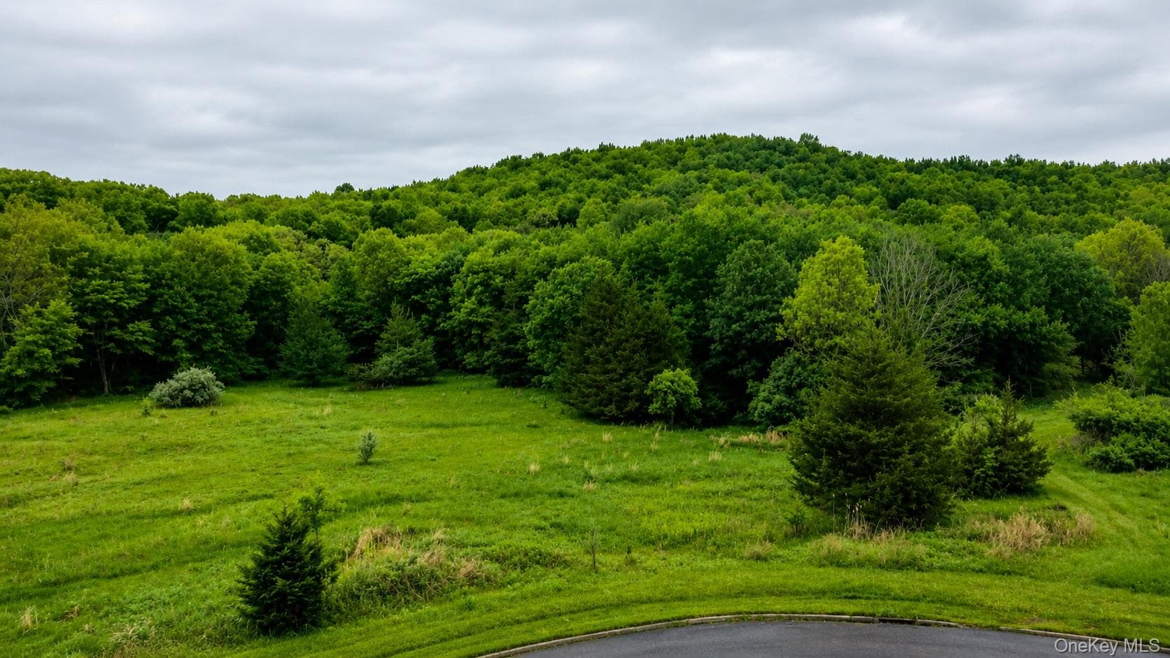 492 Black Meadow Road thumbnail 9