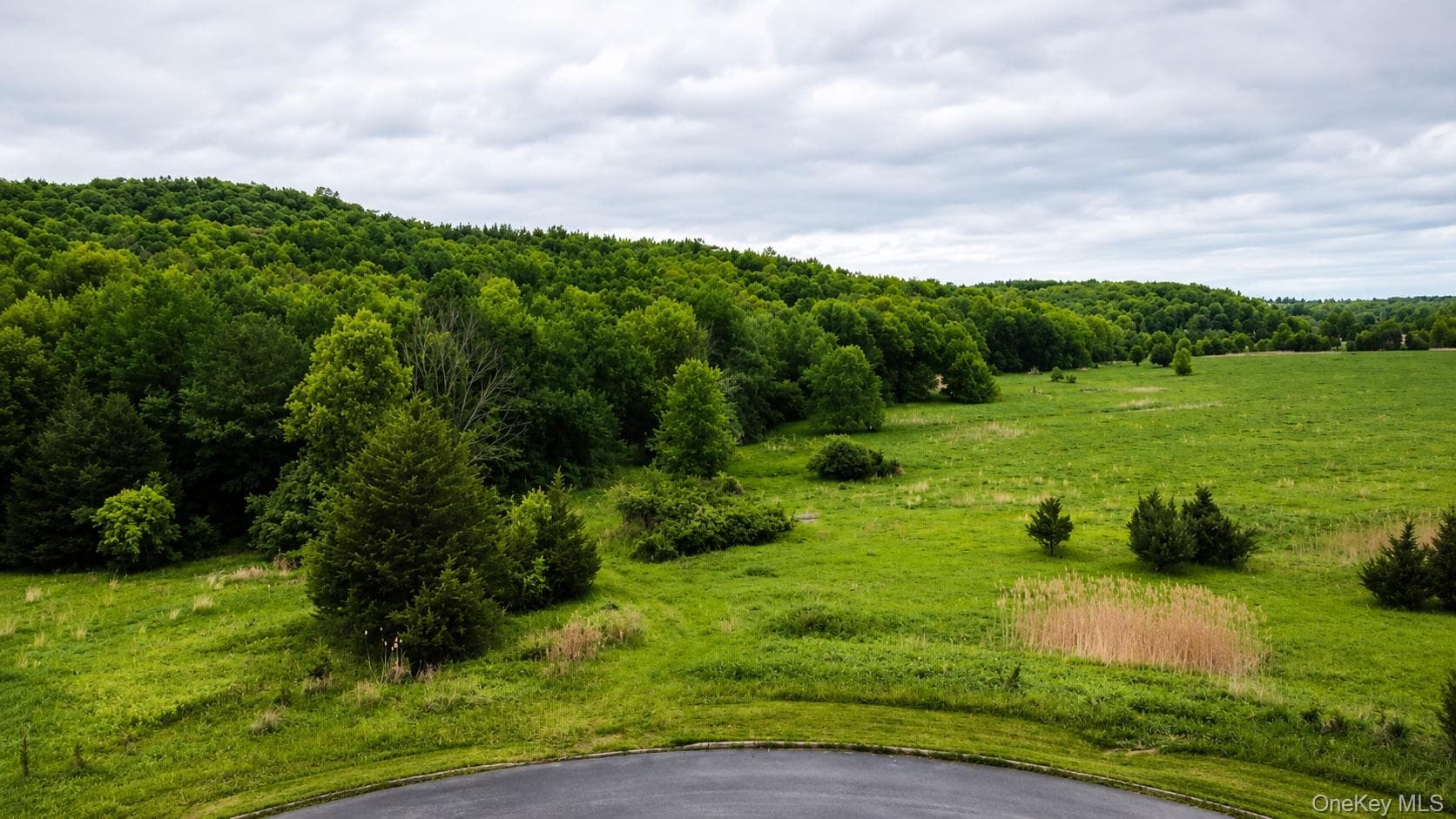 492 Black Meadow Road thumbnail 10