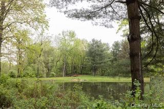 60 Eddy Road thumbnail 43