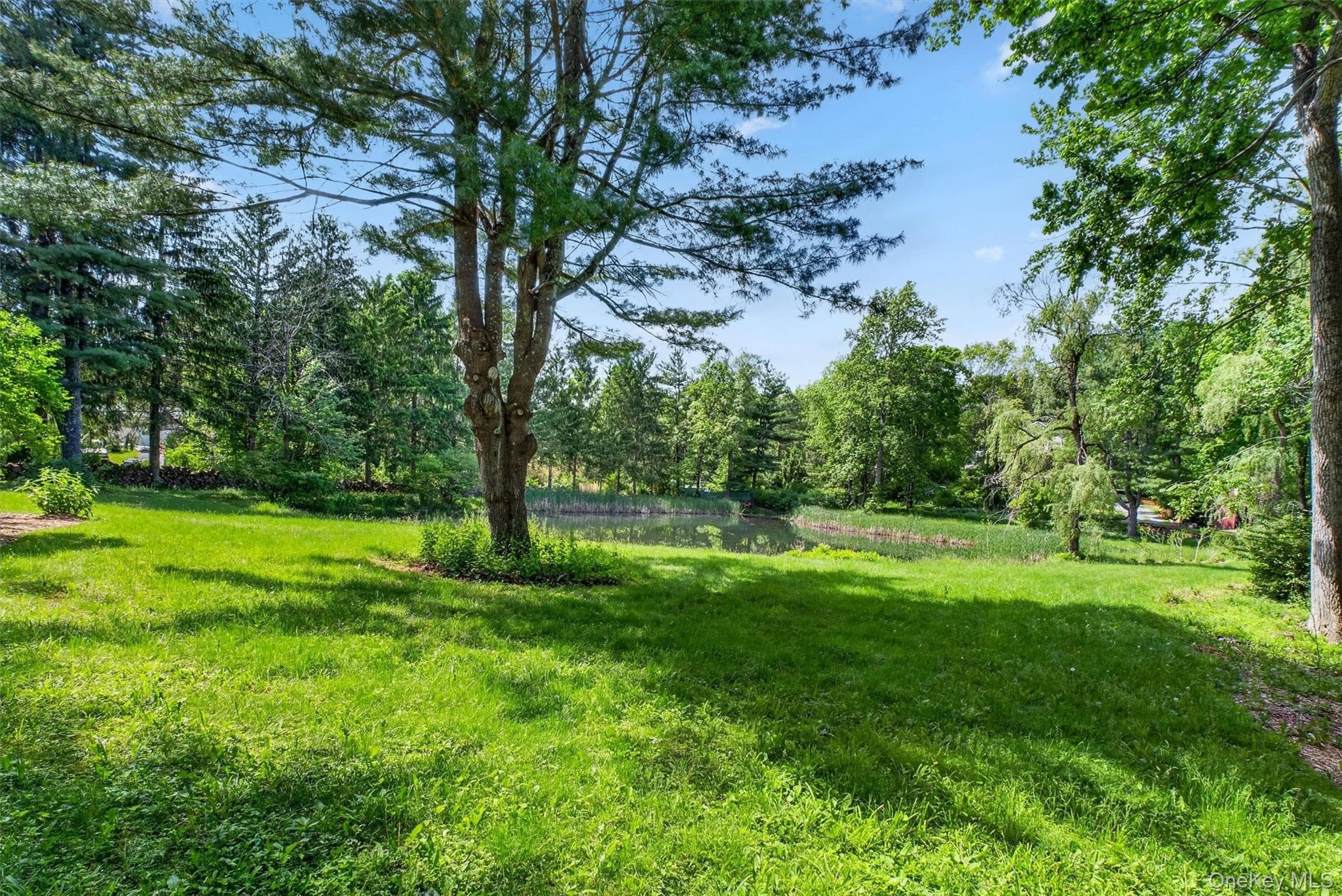 60 Eddy Road thumbnail 33