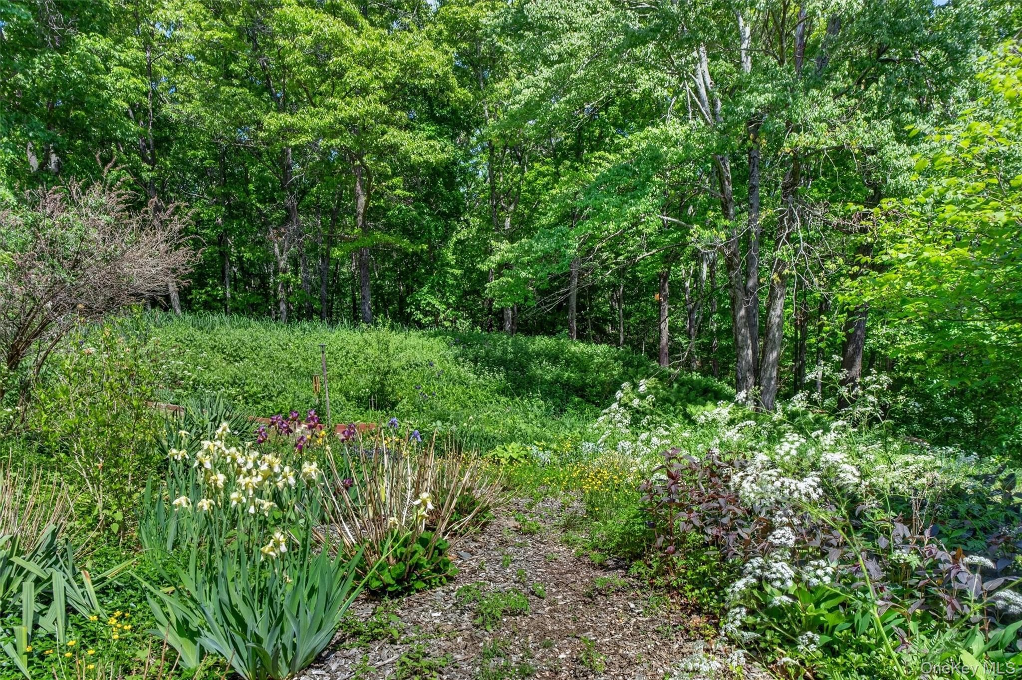 60 Eddy Road thumbnail 35