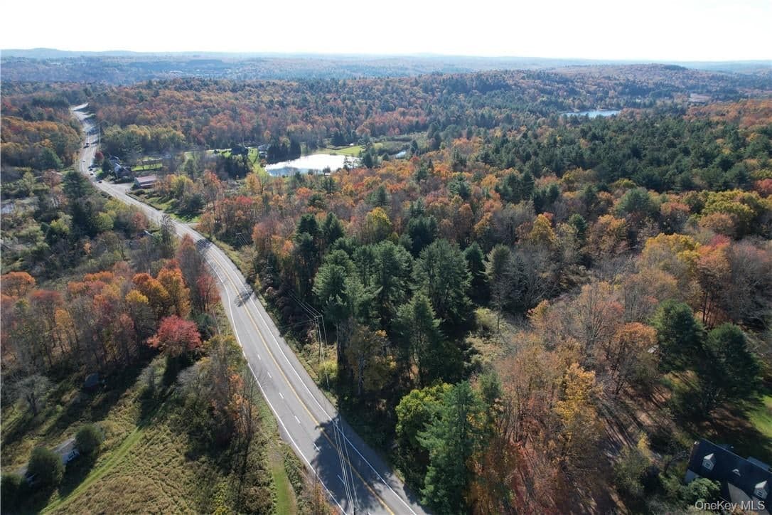 1195 Nys Route 17b photo 1