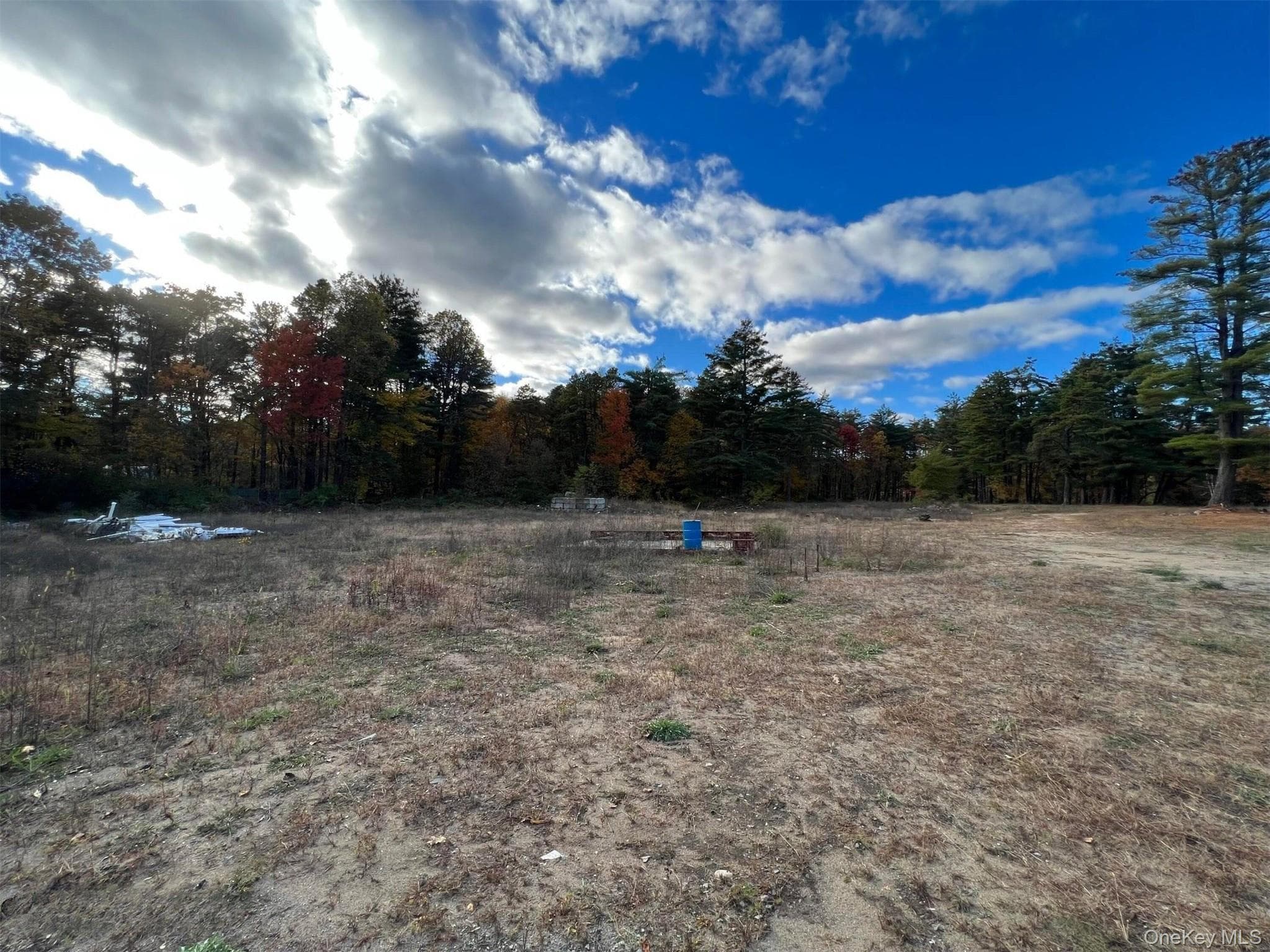 15 Pasco Avenue thumbnail 45