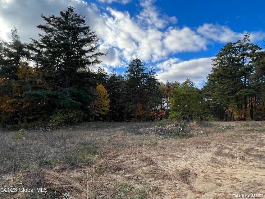 15 Pasco Avenue thumbnail 42