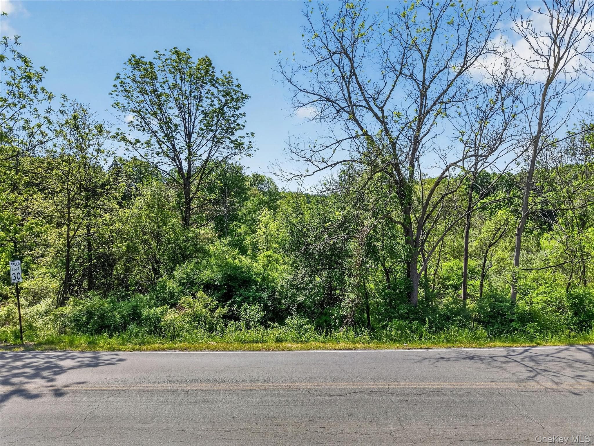 Moore's Hill Road thumbnail 2