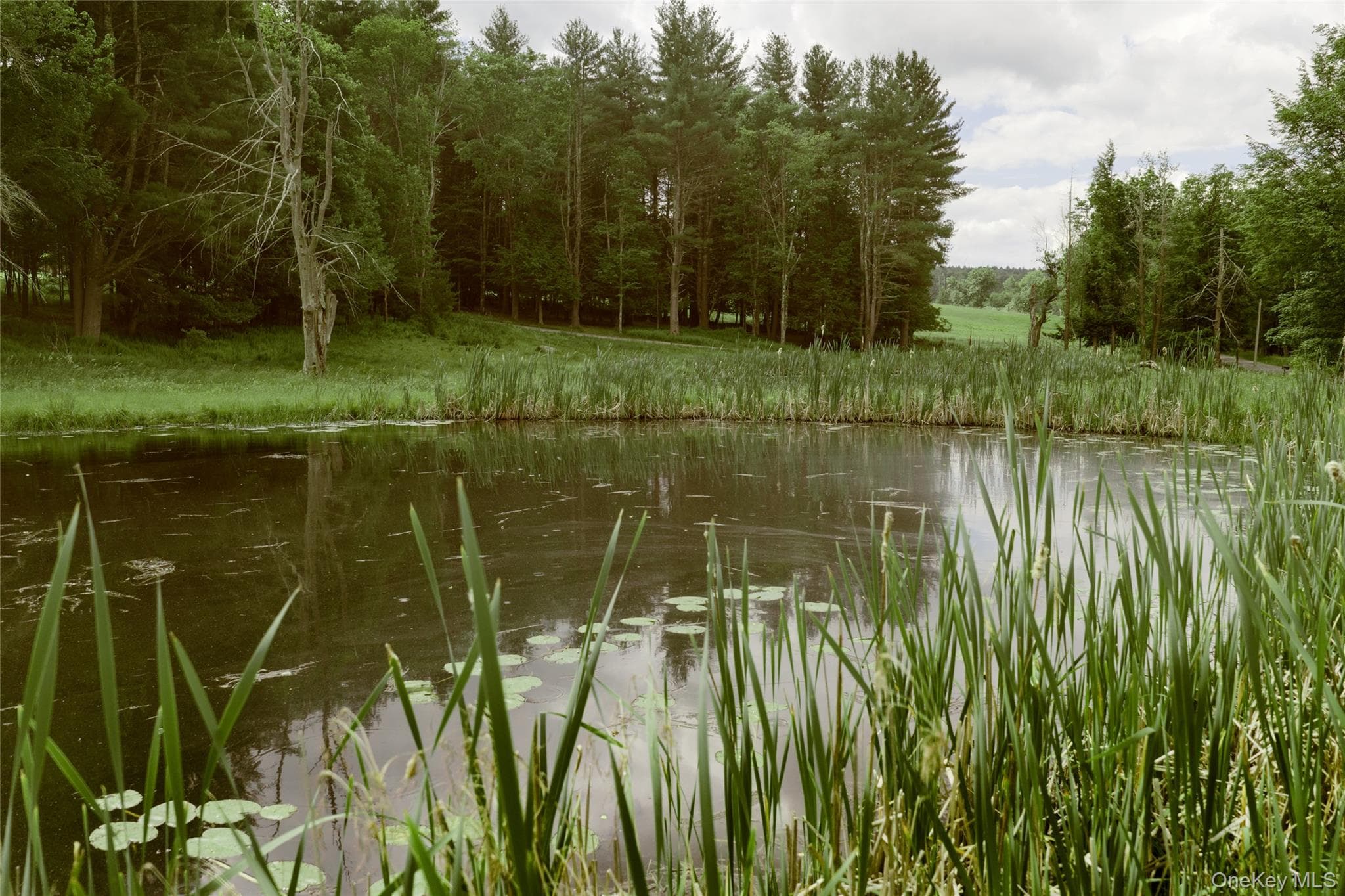 596 Perry Road thumbnail 8