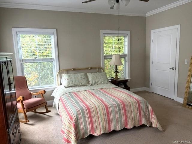 36 Providence Drive thumbnail 22