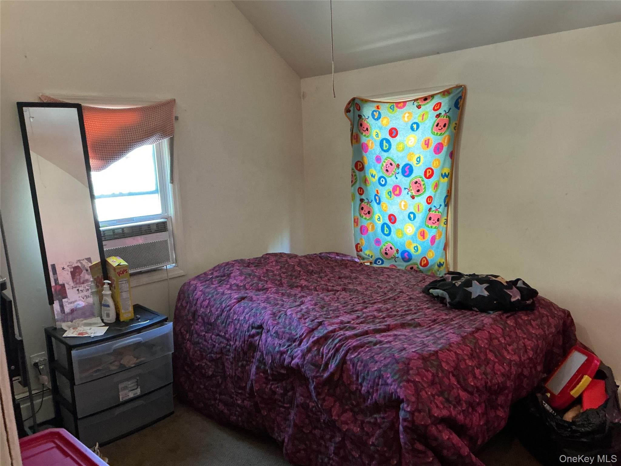 241 Covert Street thumbnail 15