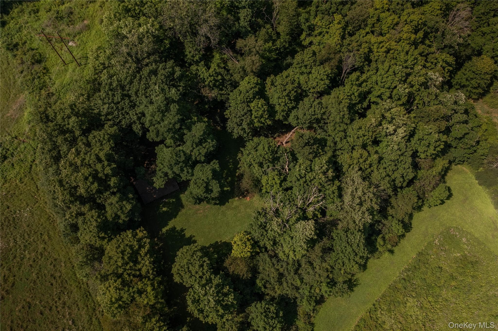 147 Lauer Road thumbnail 22