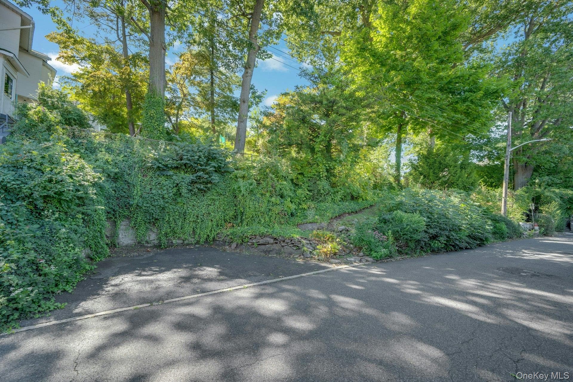 52 Fisher Avenue thumbnail 39