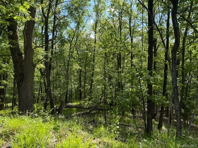 27 Council Crest Road, Sloatsburg