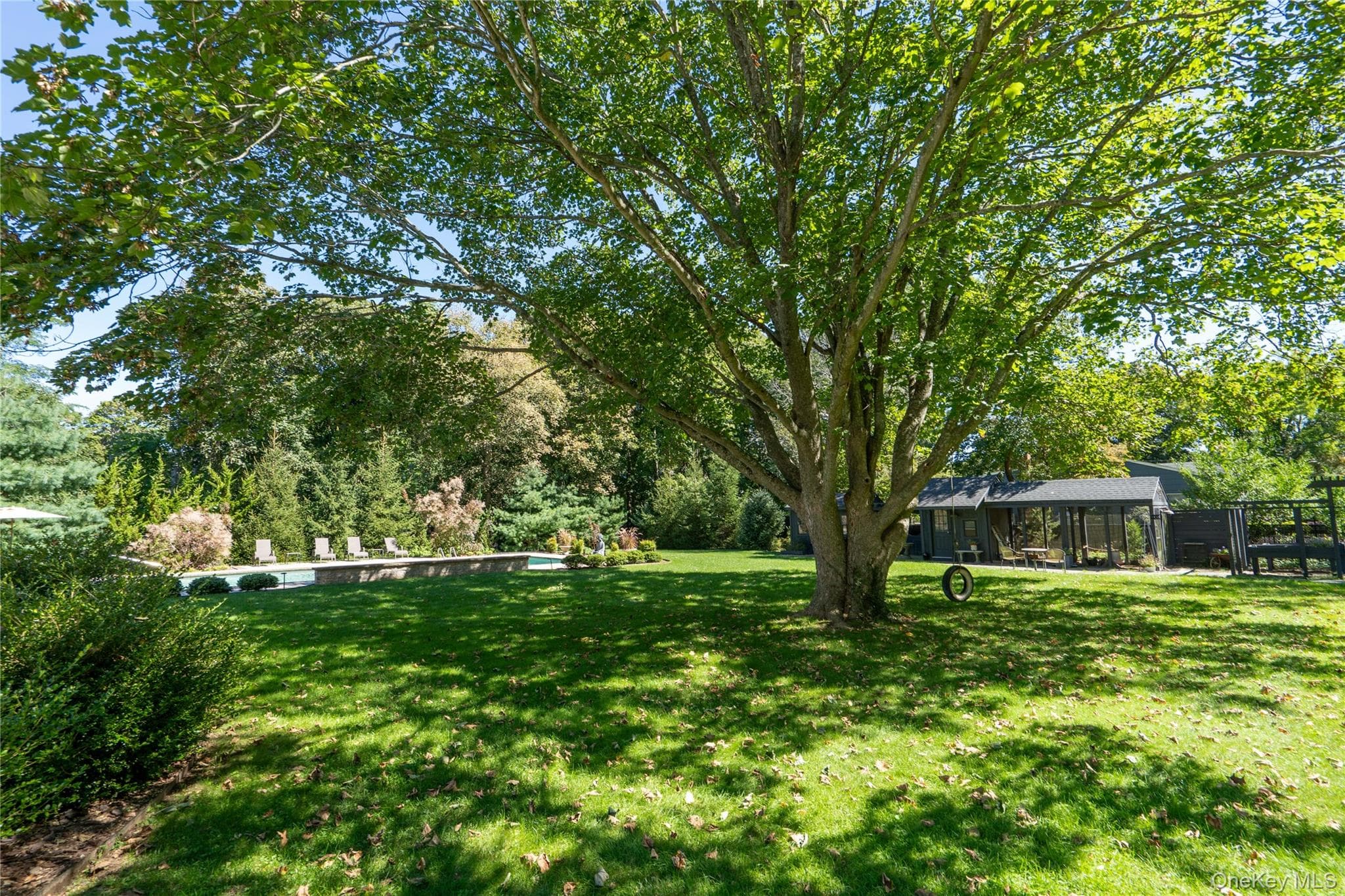225 Marion Lane thumbnail 32