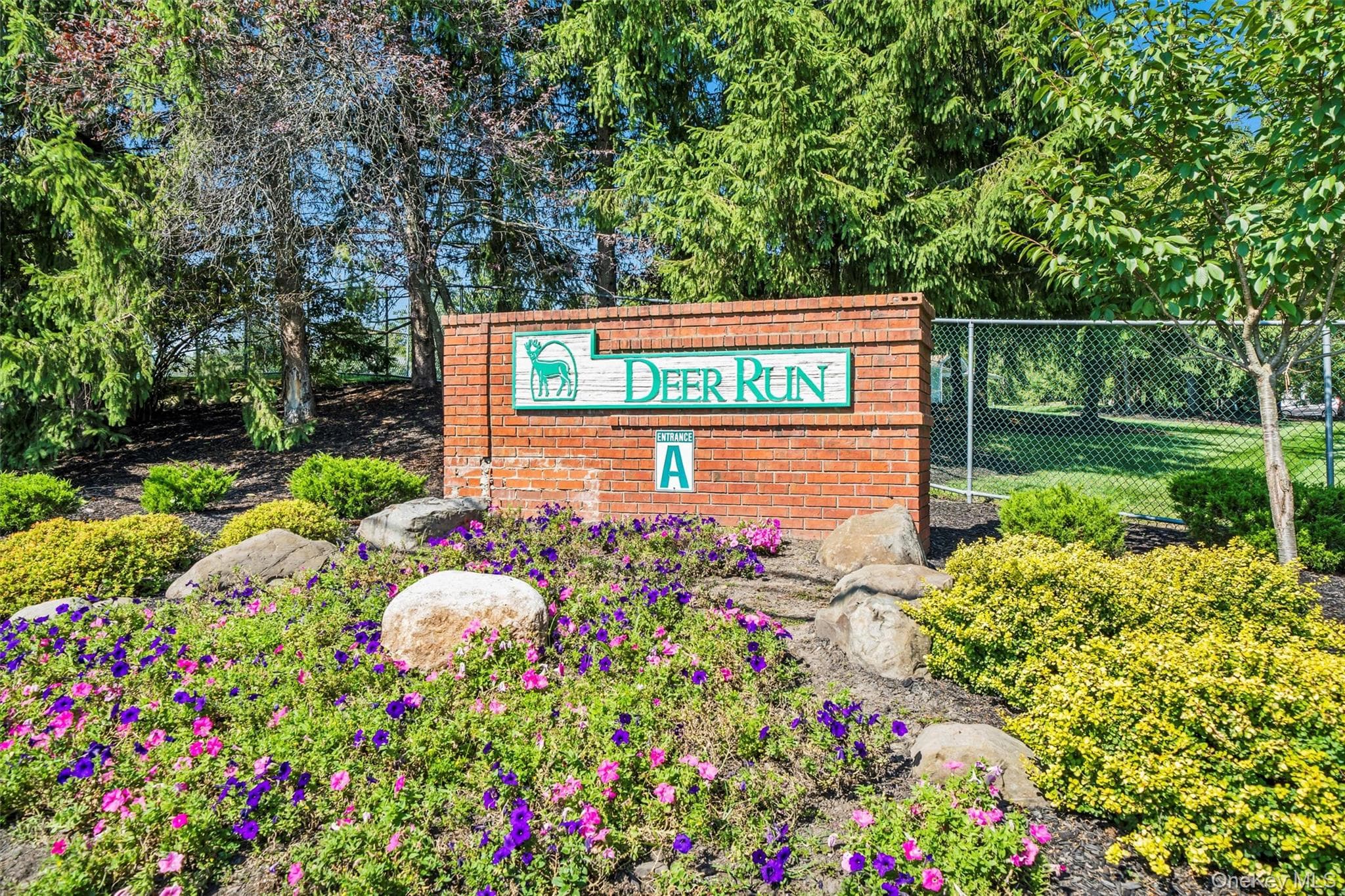 66 Deer Ct Drive thumbnail 31