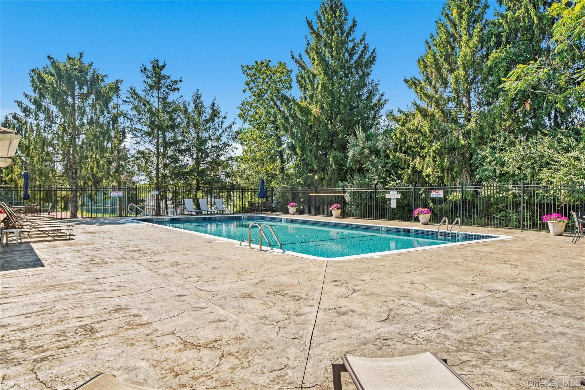 66 Deer Ct Drive thumbnail 29