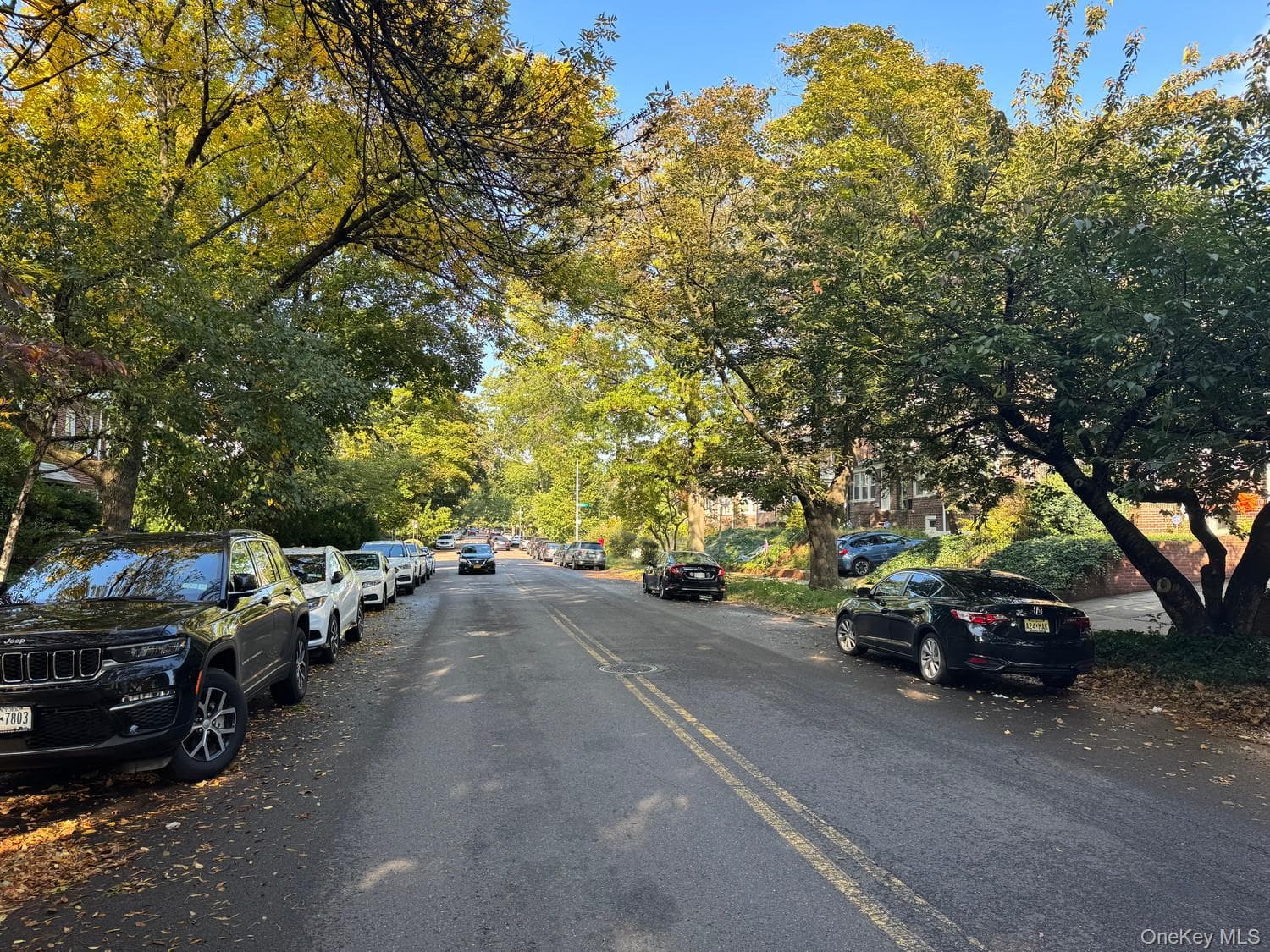 99-03 Ascan Avenue thumbnail 3