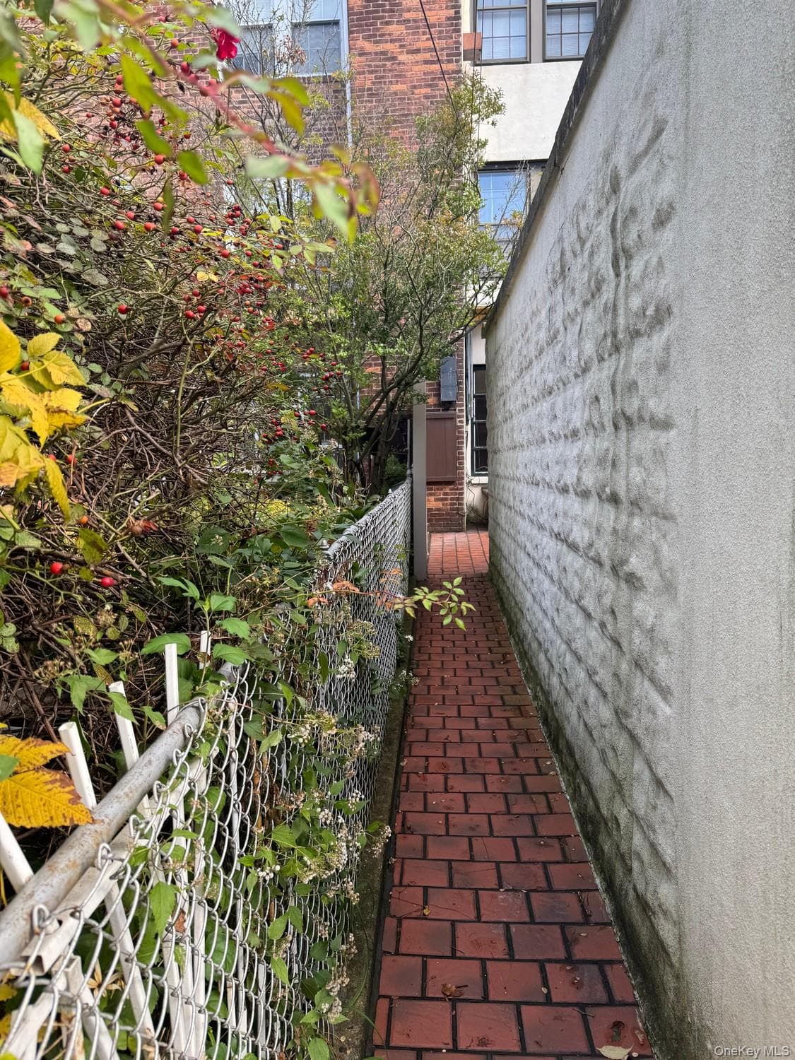 99-03 Ascan Avenue thumbnail 36