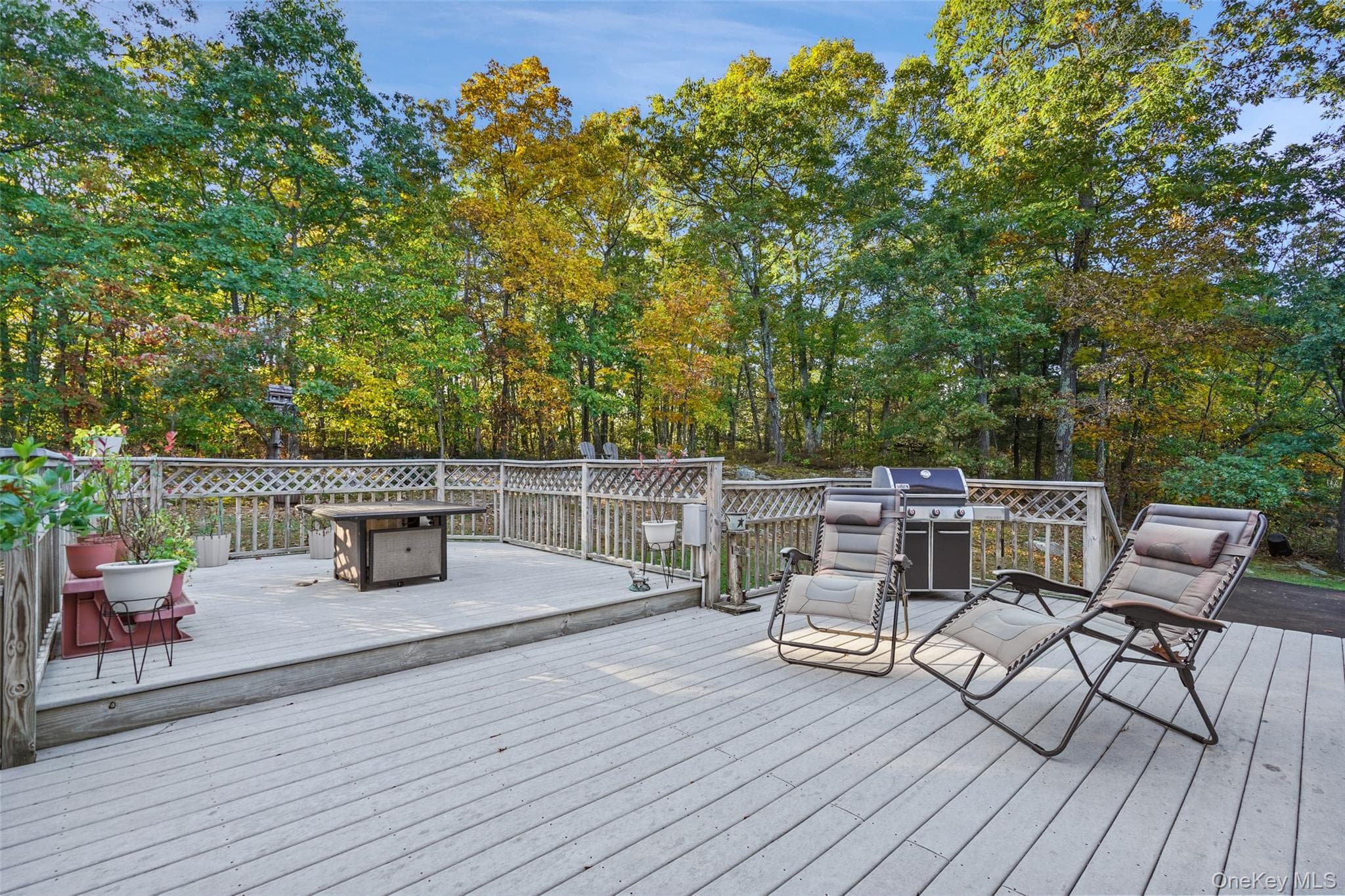 54 White Pond Road thumbnail 21