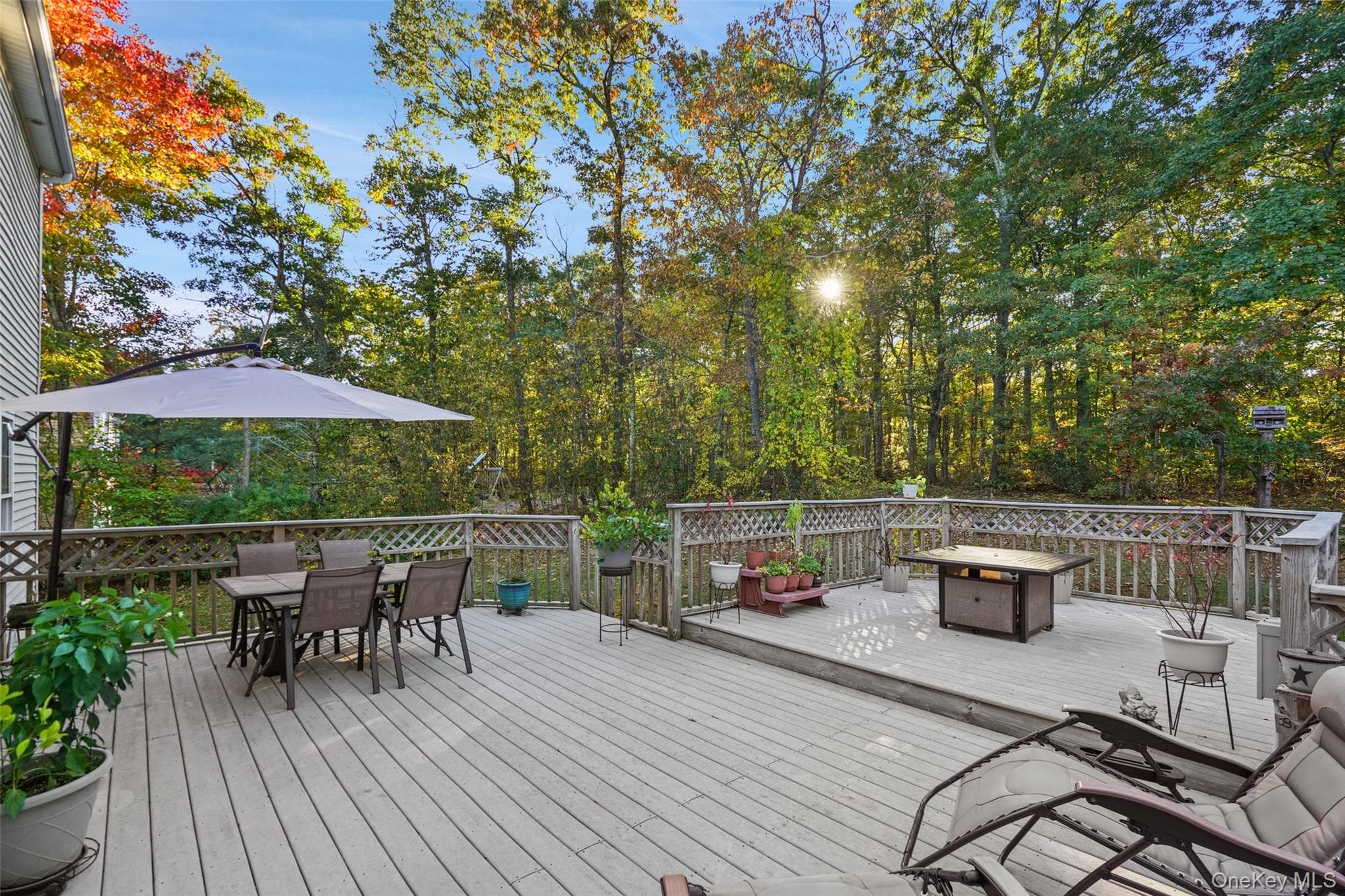 54 White Pond Road thumbnail 8