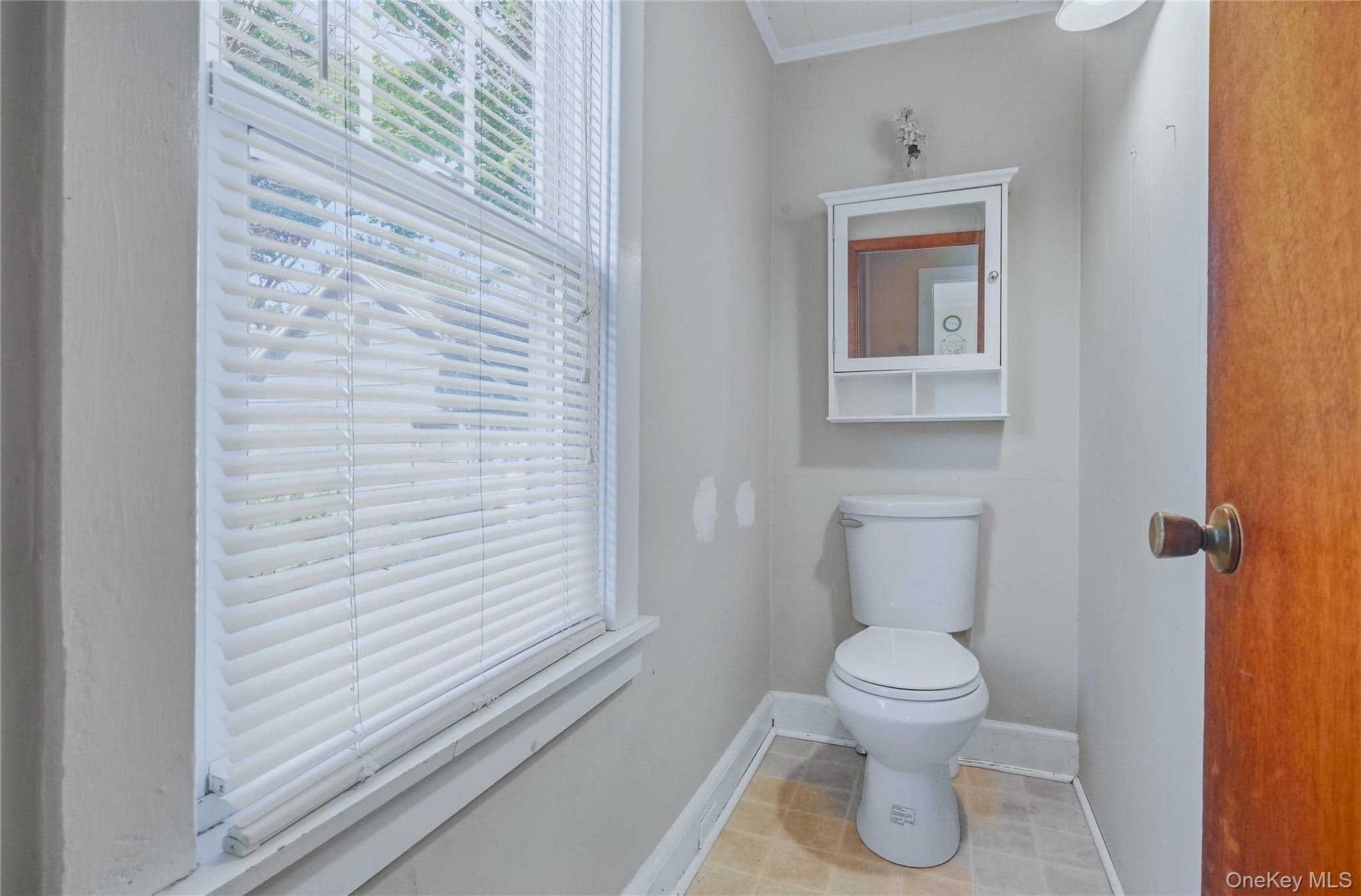 10 Linwood Place thumbnail 8