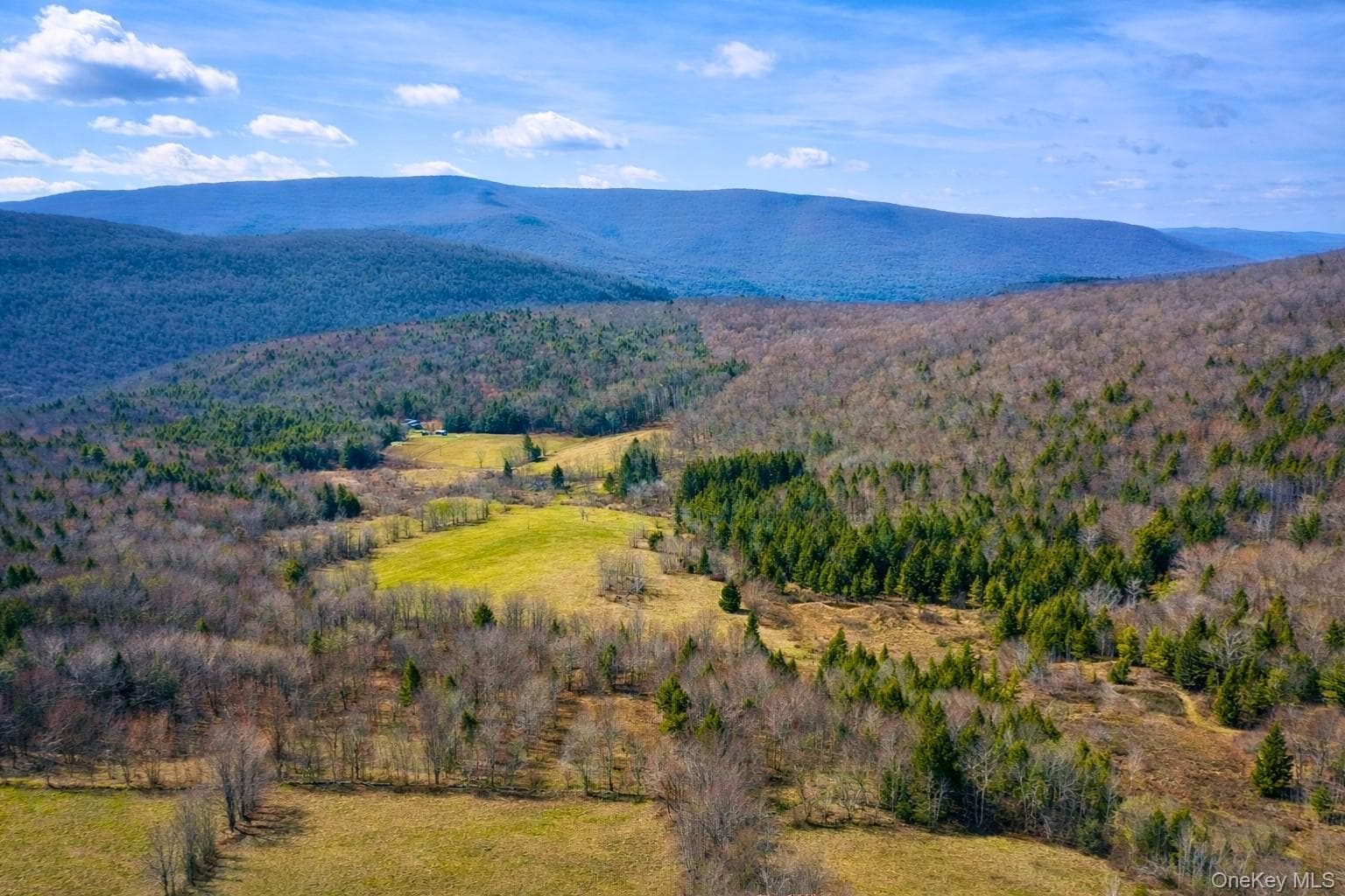 Hog Mountain photo 1