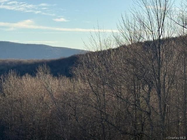 Hog Mountain thumbnail 16