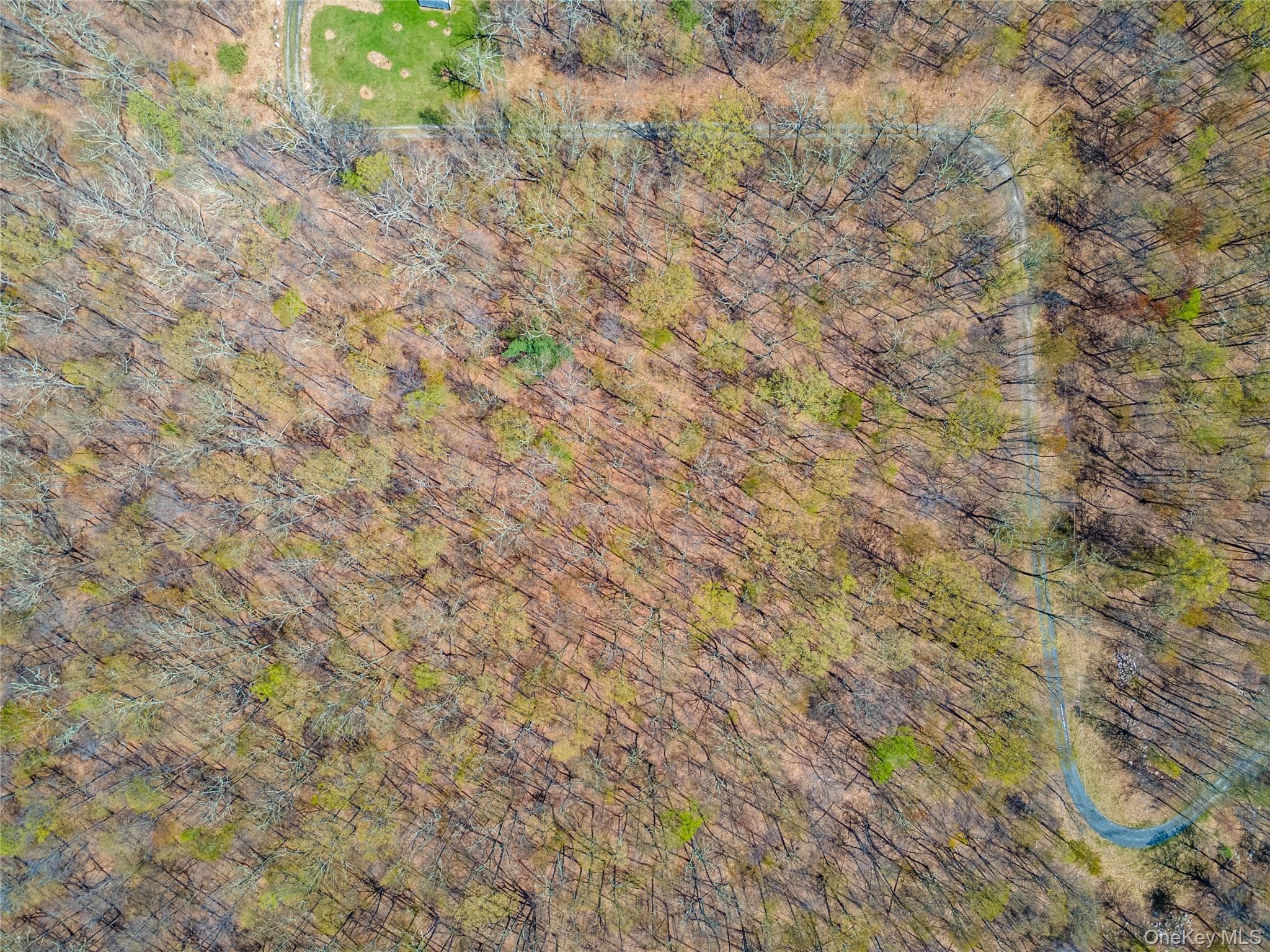 TBD Forest Glen Road thumbnail 13