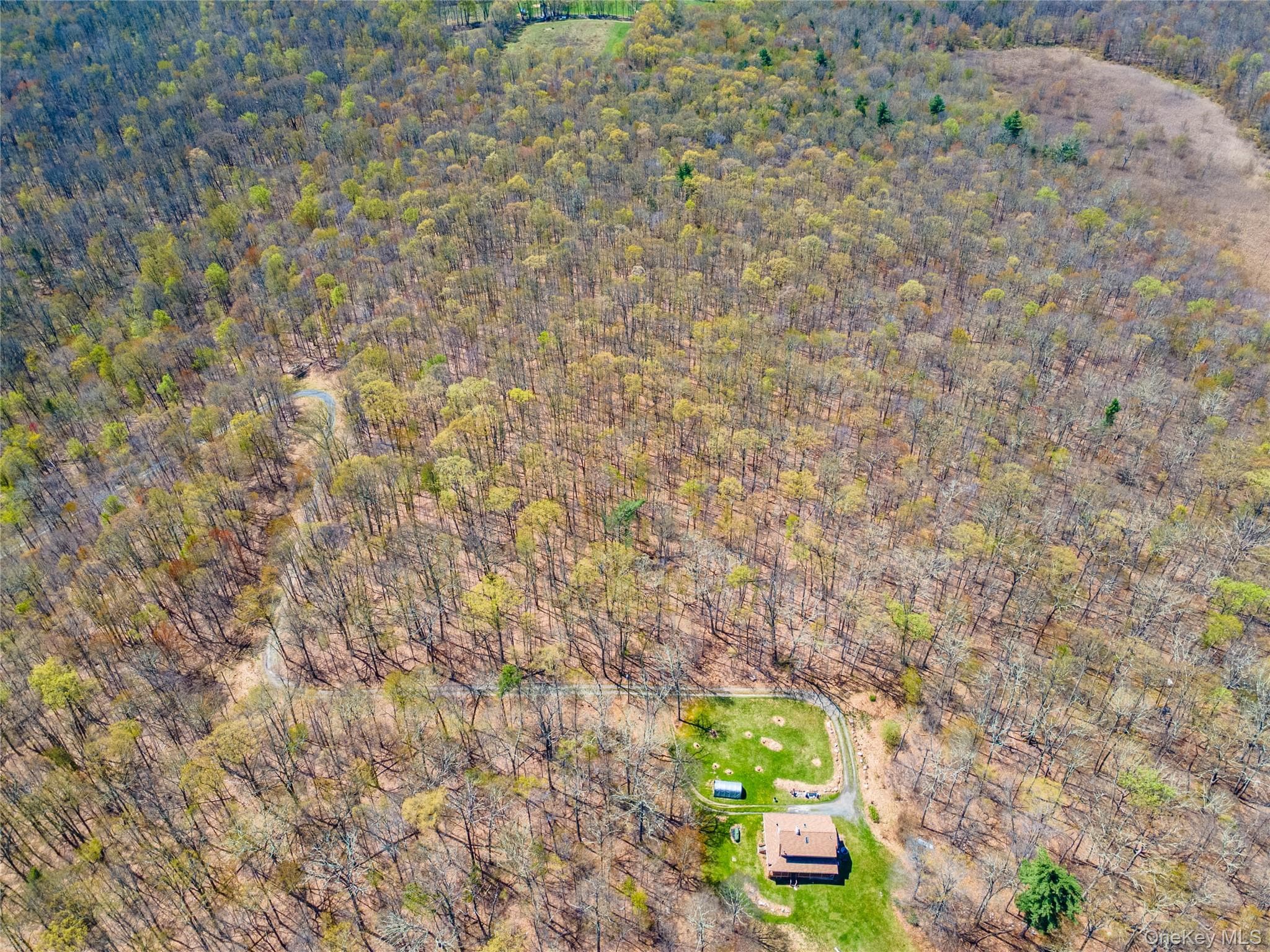 TBD Forest Glen Road thumbnail 5