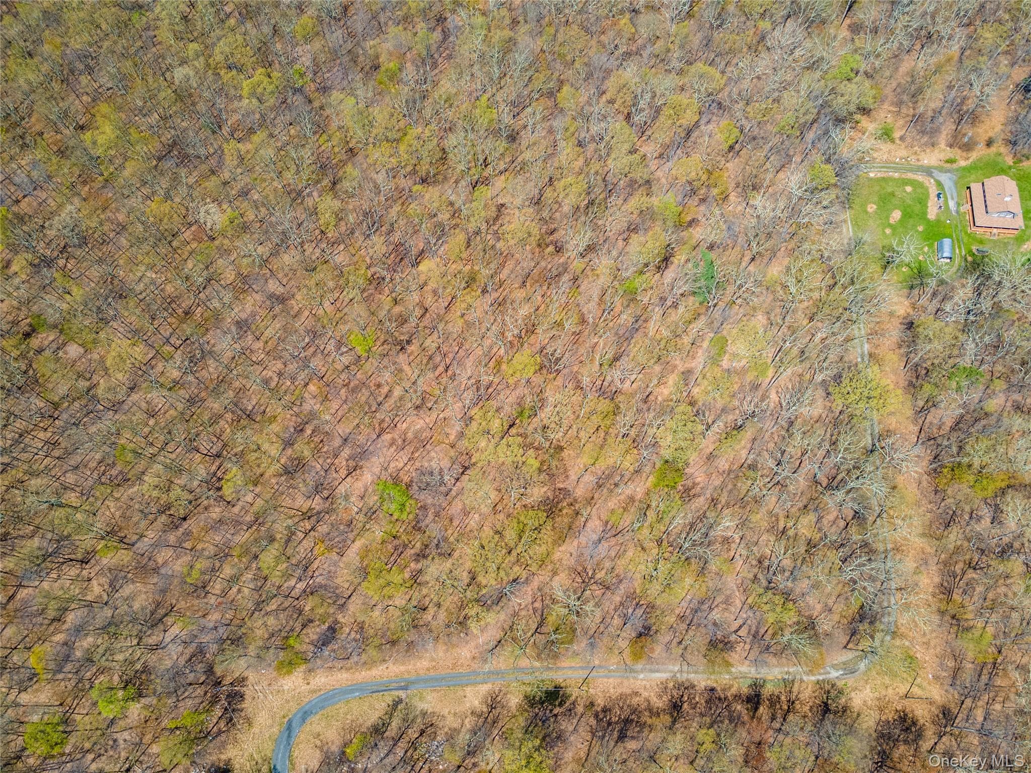 TBD Forest Glen Road thumbnail 12