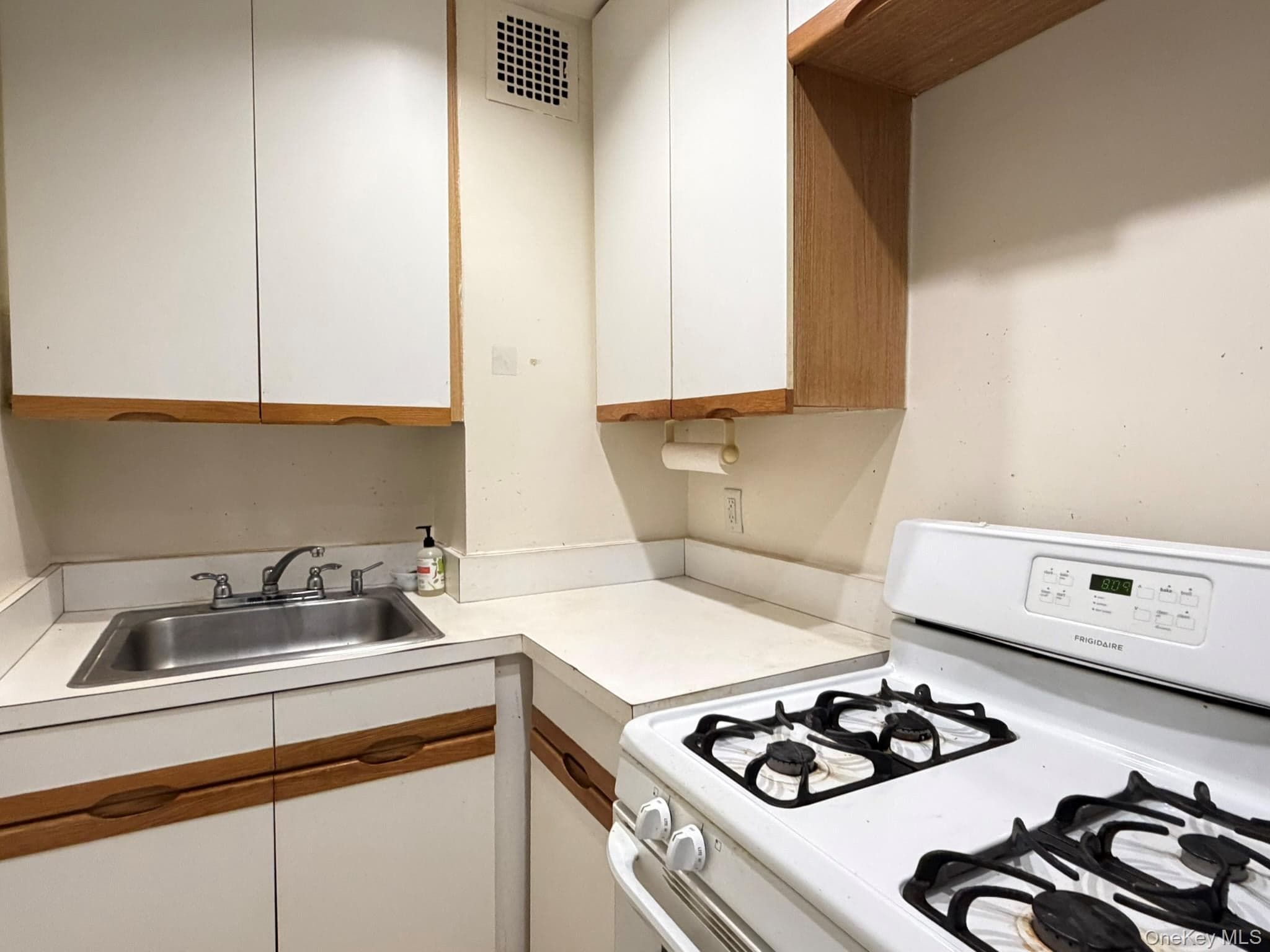 185 S Middle Neck Road Unit: 3G thumbnail 6