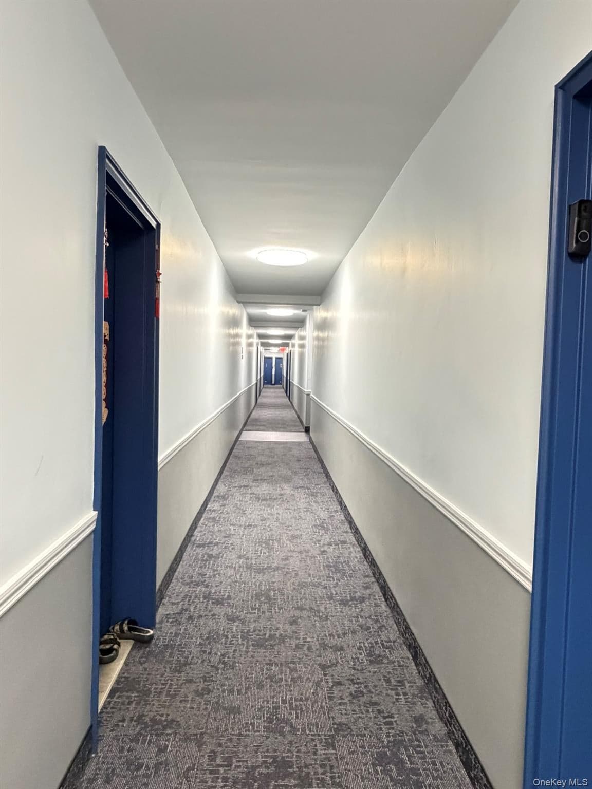 185 S Middle Neck Road Unit: 3G thumbnail 13