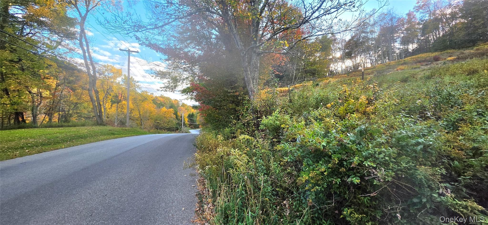 55 Lily Pond Road thumbnail 18