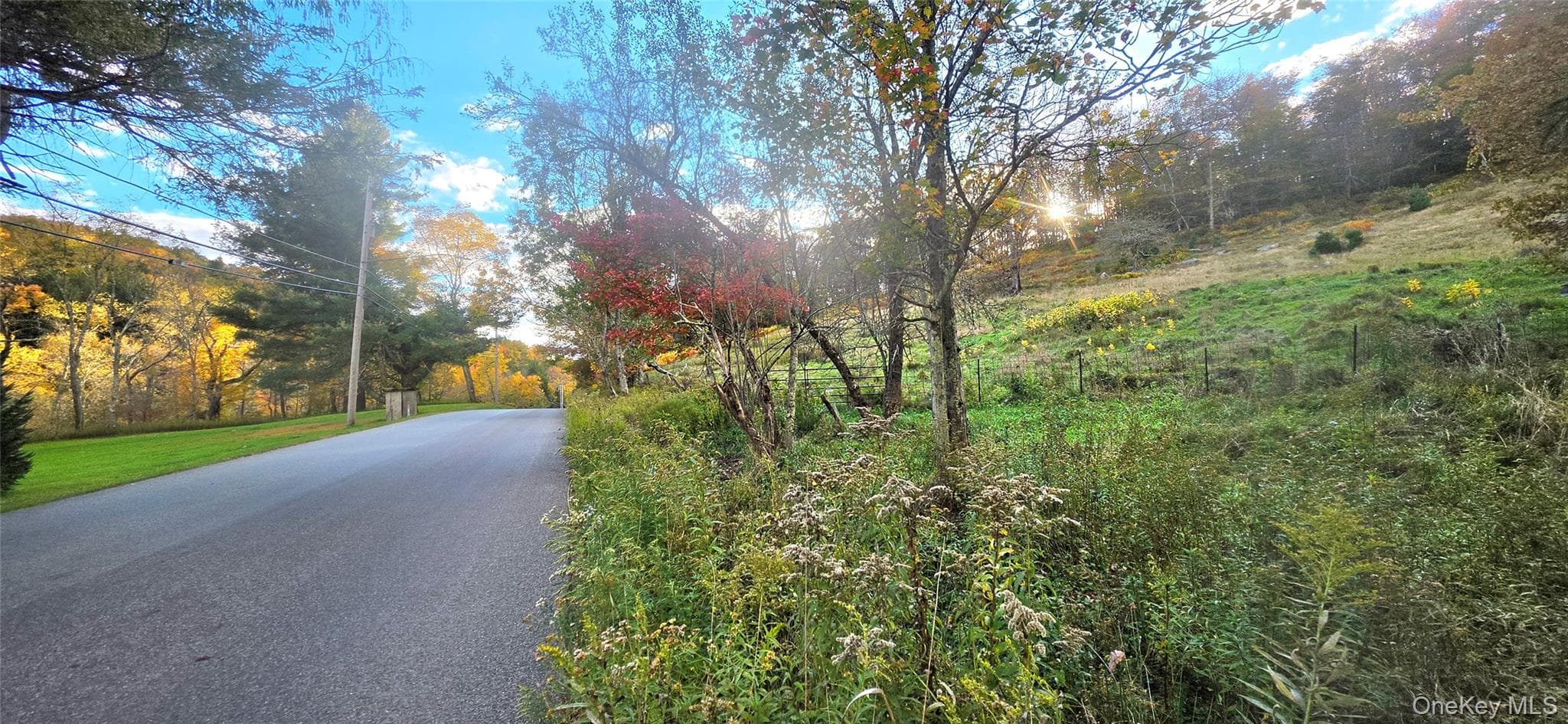 55 Lily Pond Road thumbnail 12