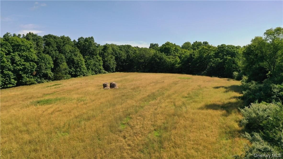 56 Maple Avenue thumbnail 9