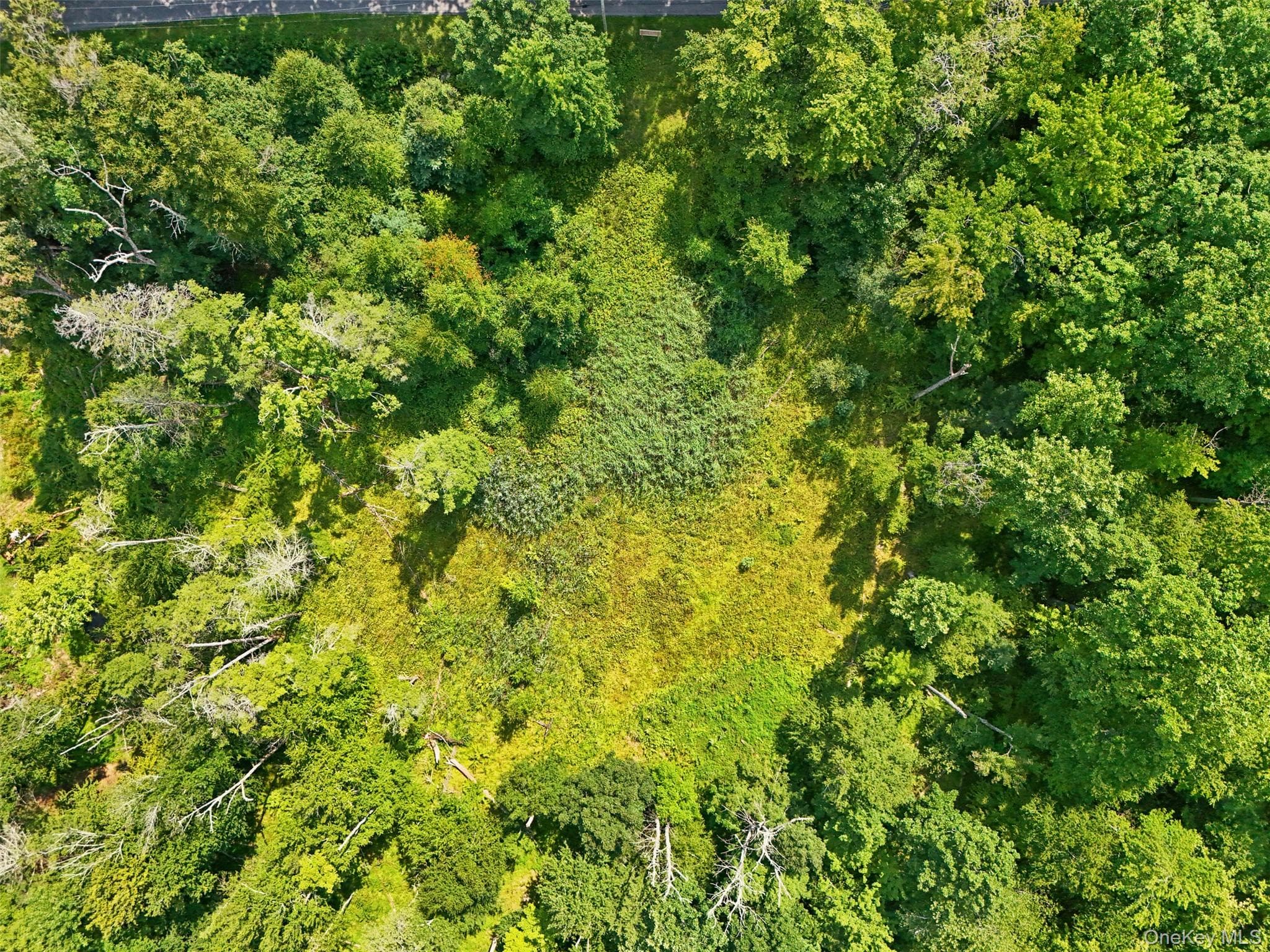 Oak Ridge Road thumbnail 5