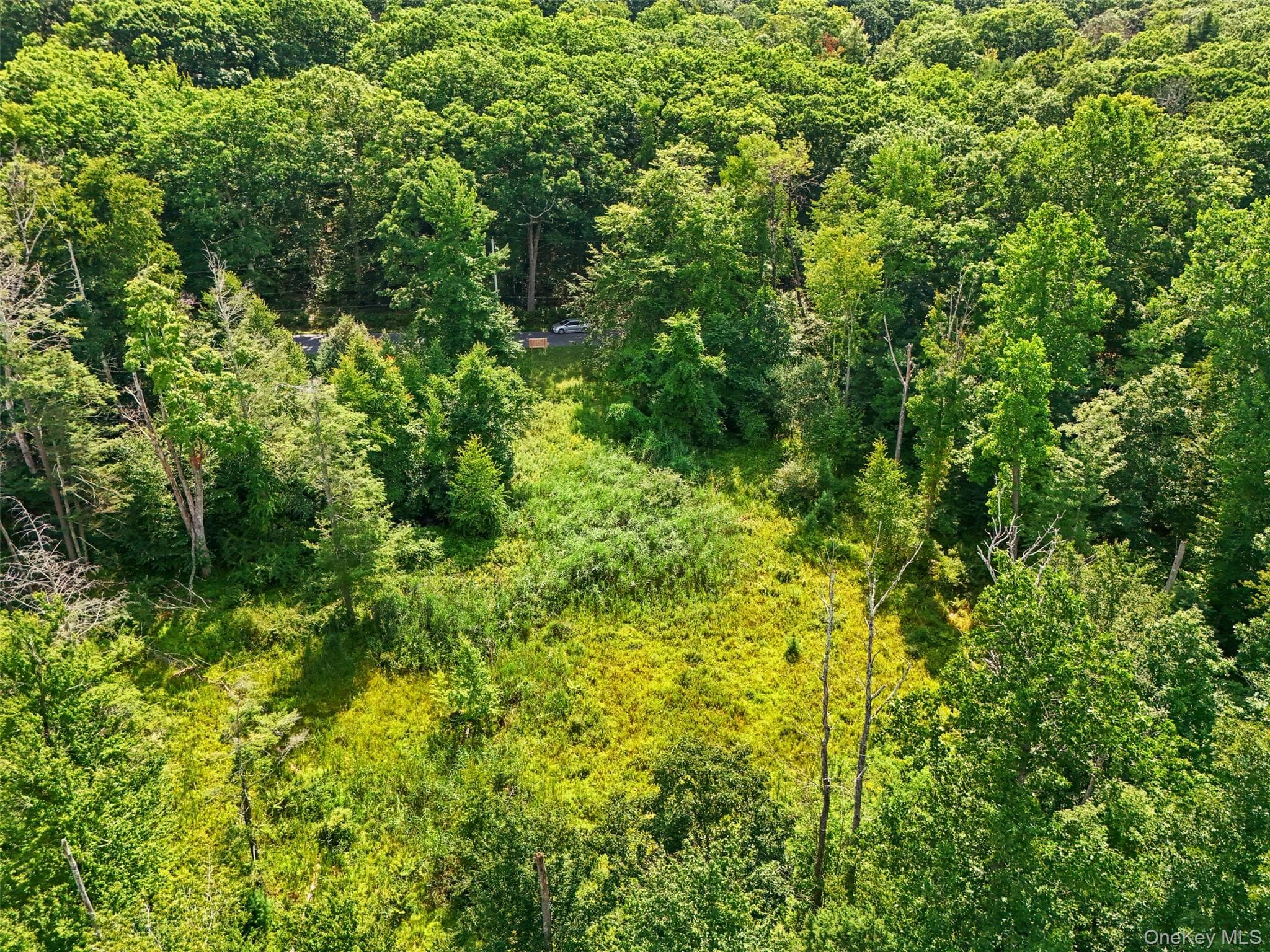 Oak Ridge Road thumbnail 12
