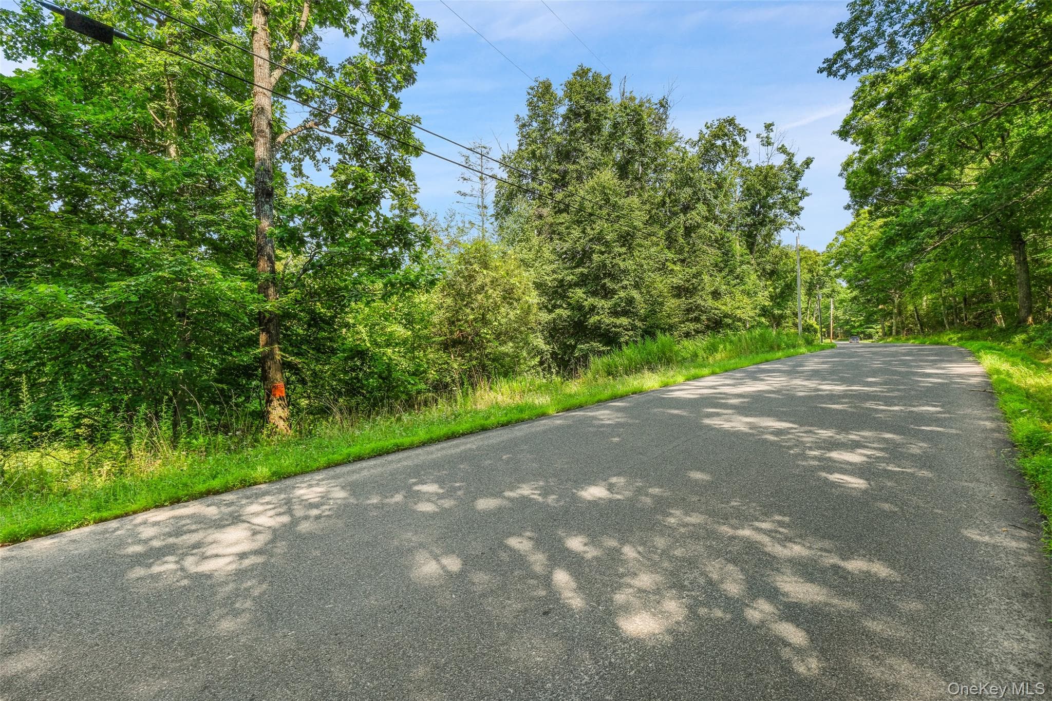 Oak Ridge Road thumbnail 17