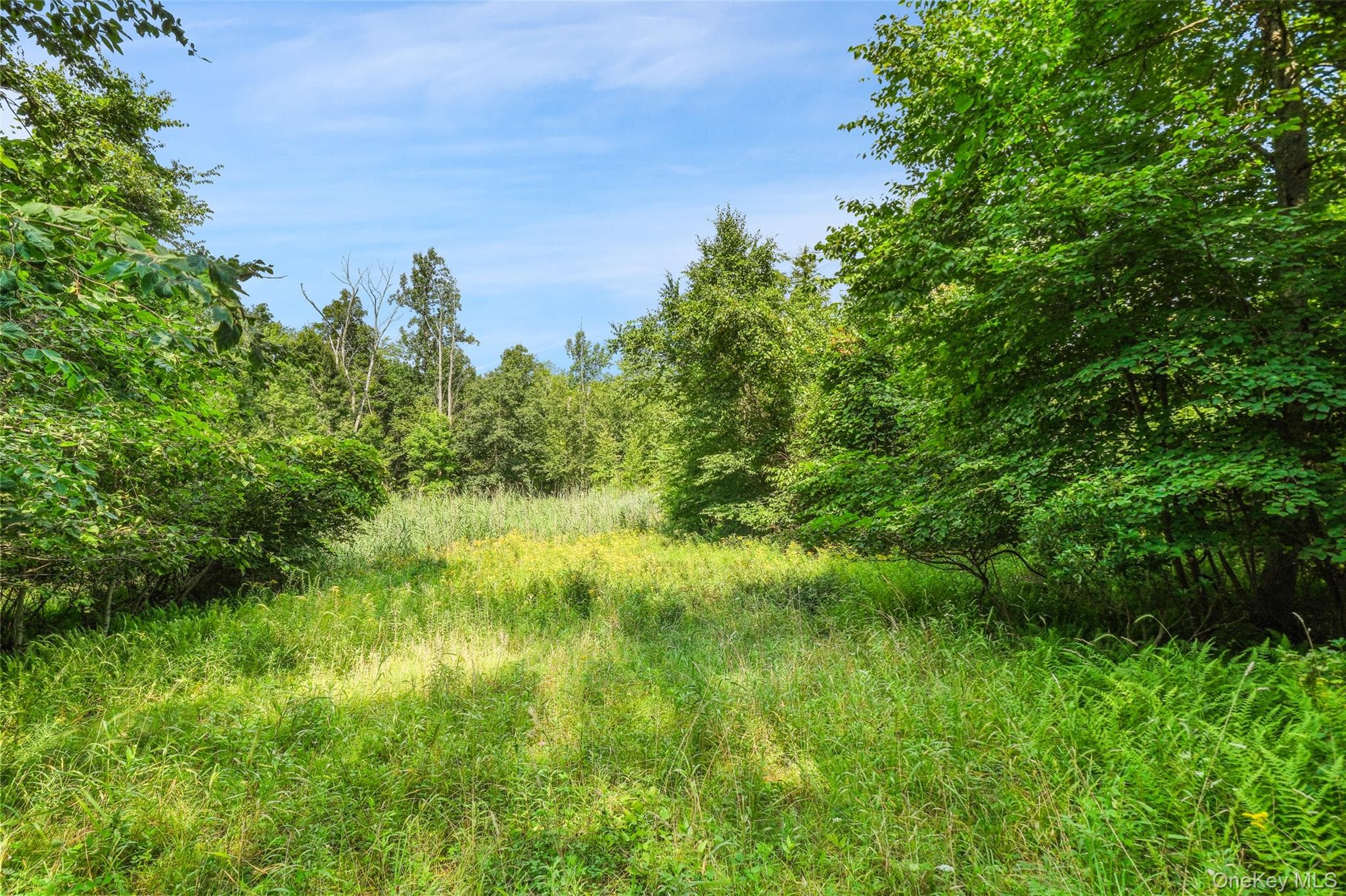 Oak Ridge Road thumbnail 13