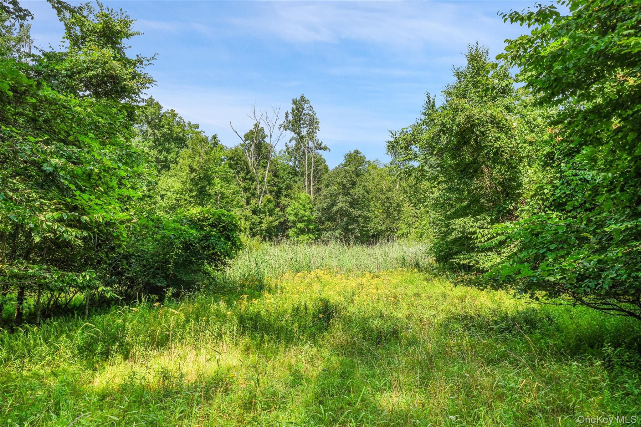 Oak Ridge Road thumbnail 14