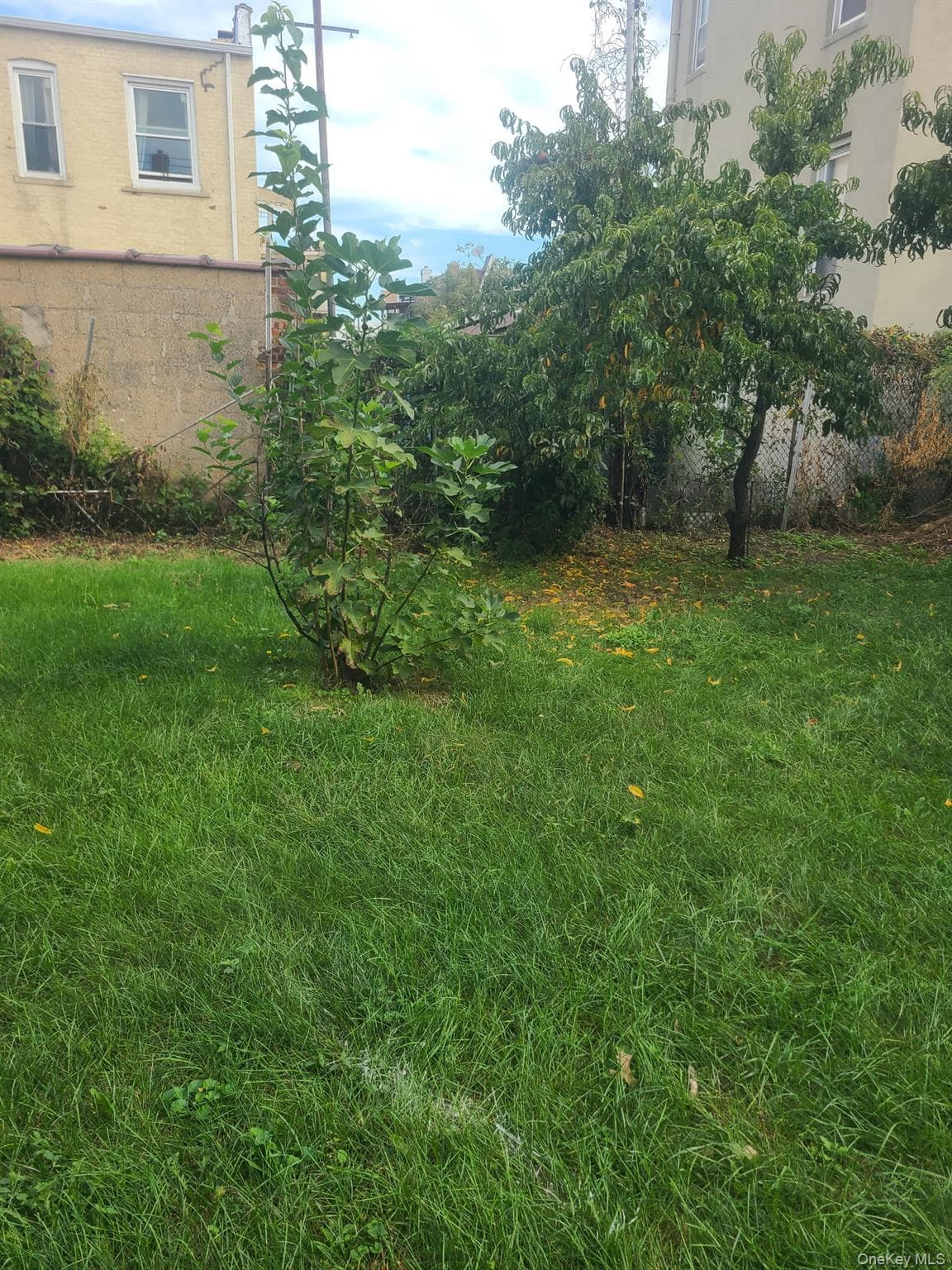 2905 Wilkinson Avenue thumbnail 15