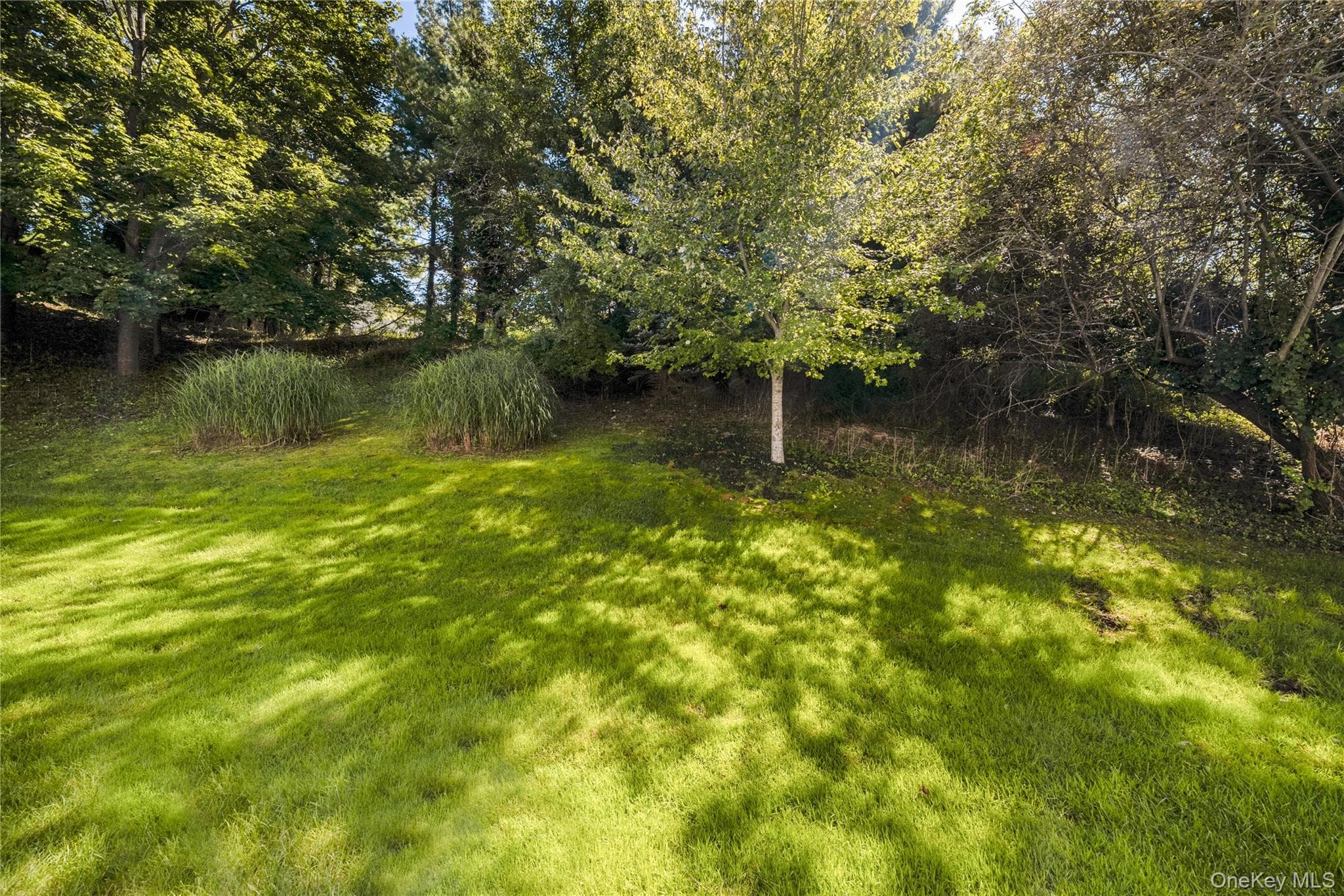 203 Windward Court thumbnail 24