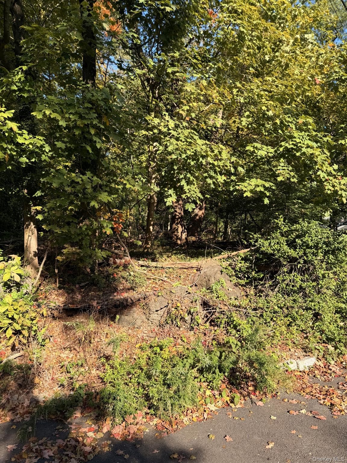 Glen Eagles Drive thumbnail 10