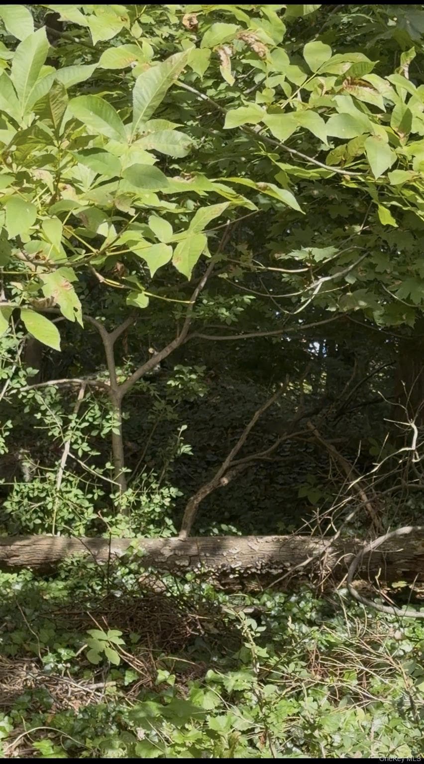 Glen Eagles Drive thumbnail 6