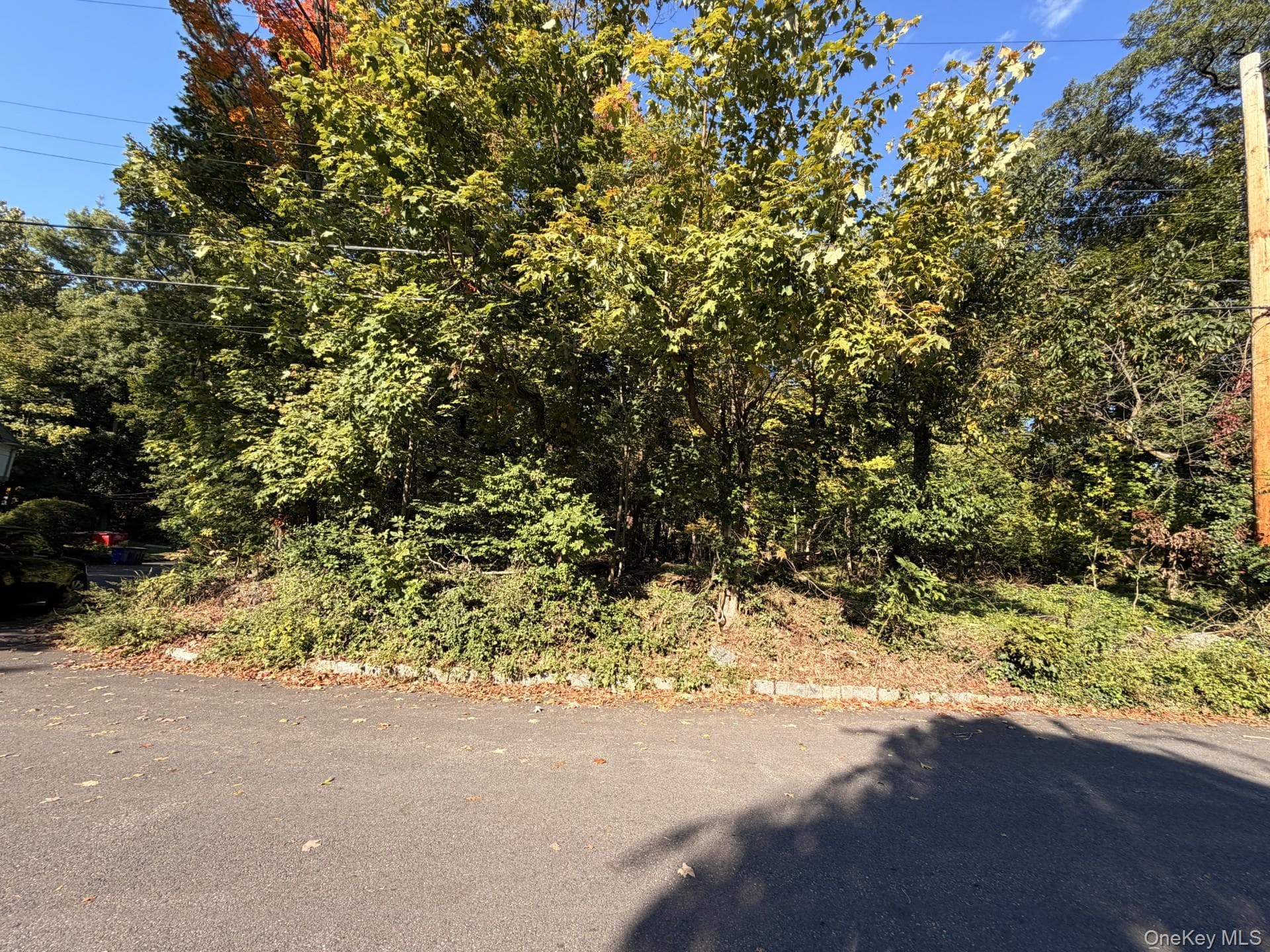 Glen Eagles Drive, Larchmont