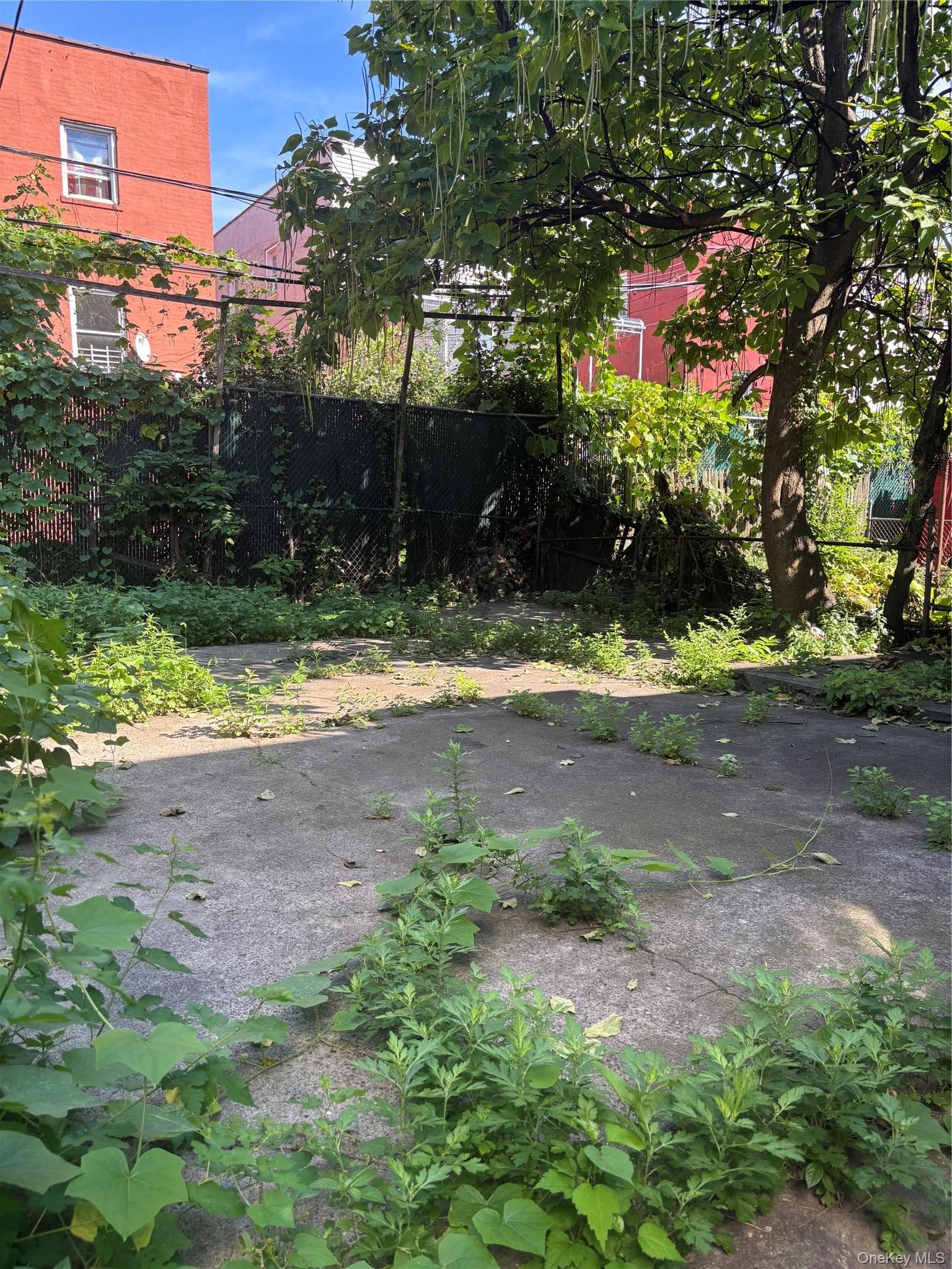 1056 Colgate Avenue thumbnail 3