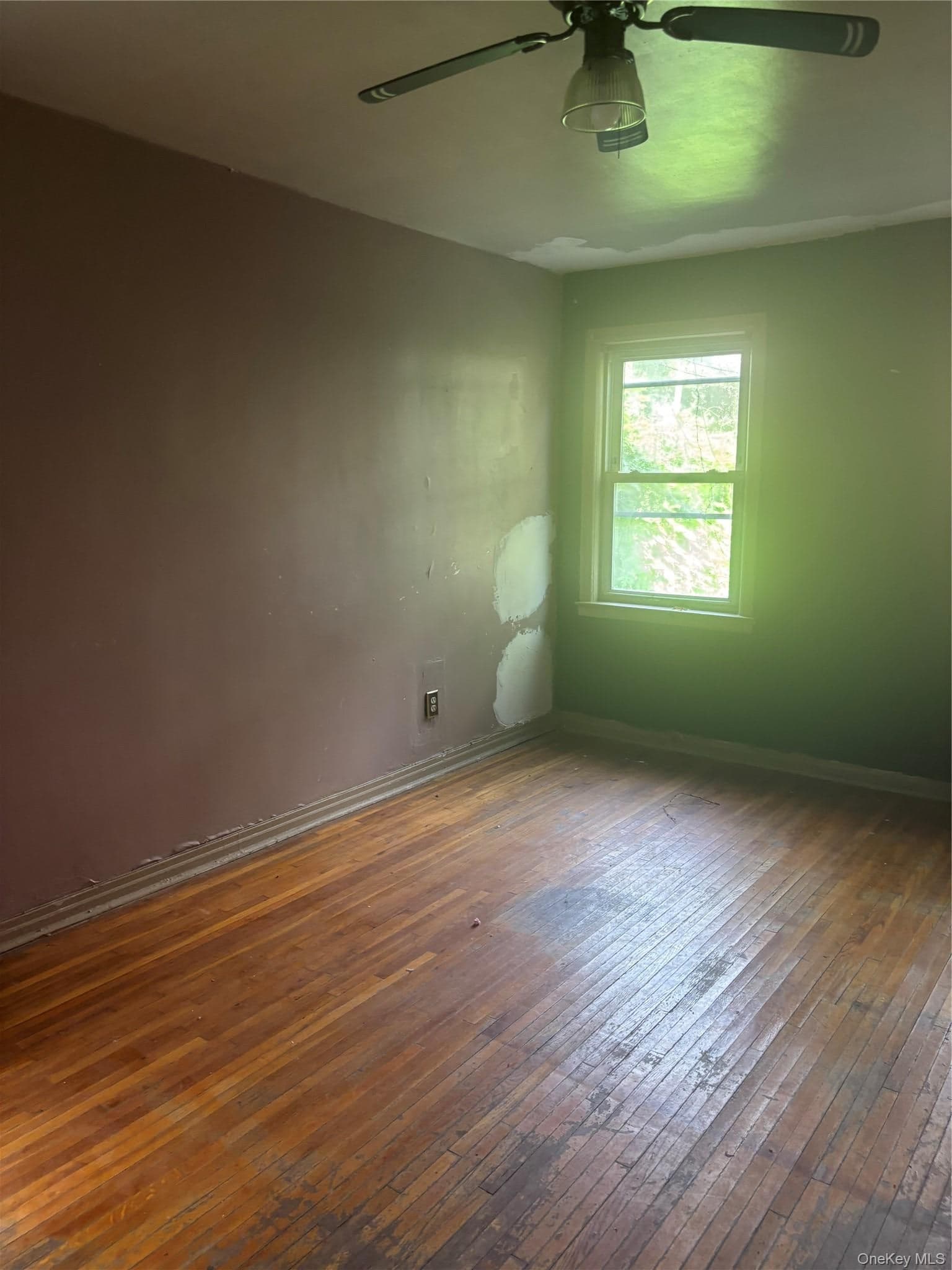 1056 Colgate Avenue thumbnail 21