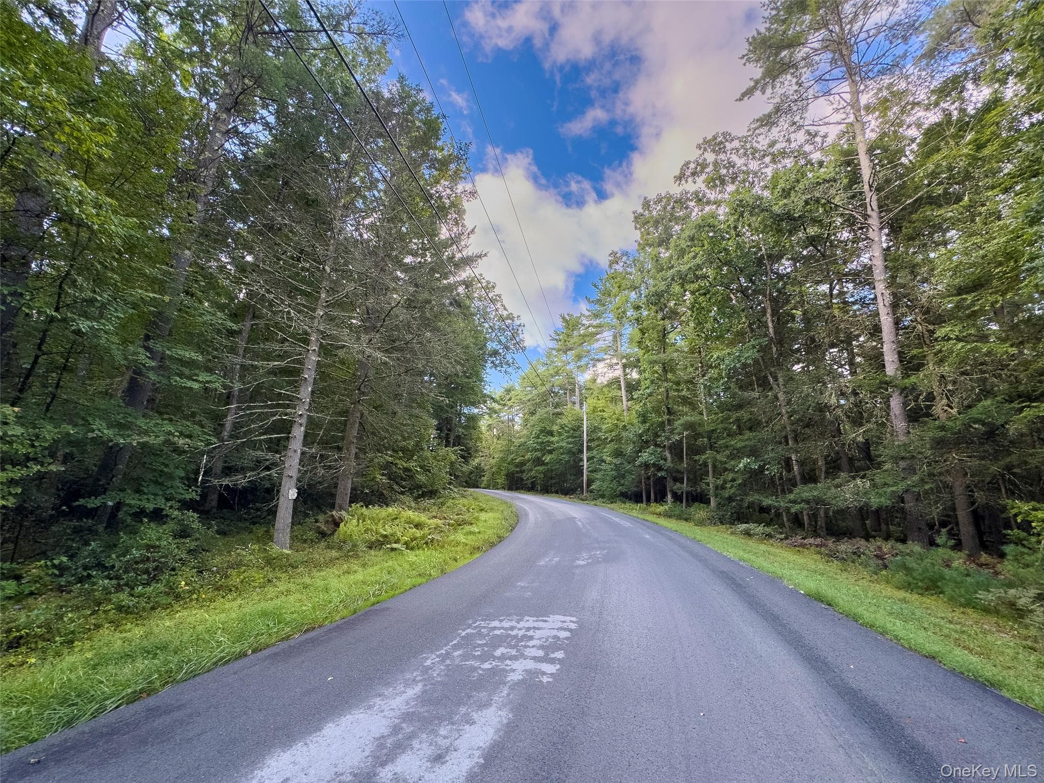 83 Perry Pond Road thumbnail 11