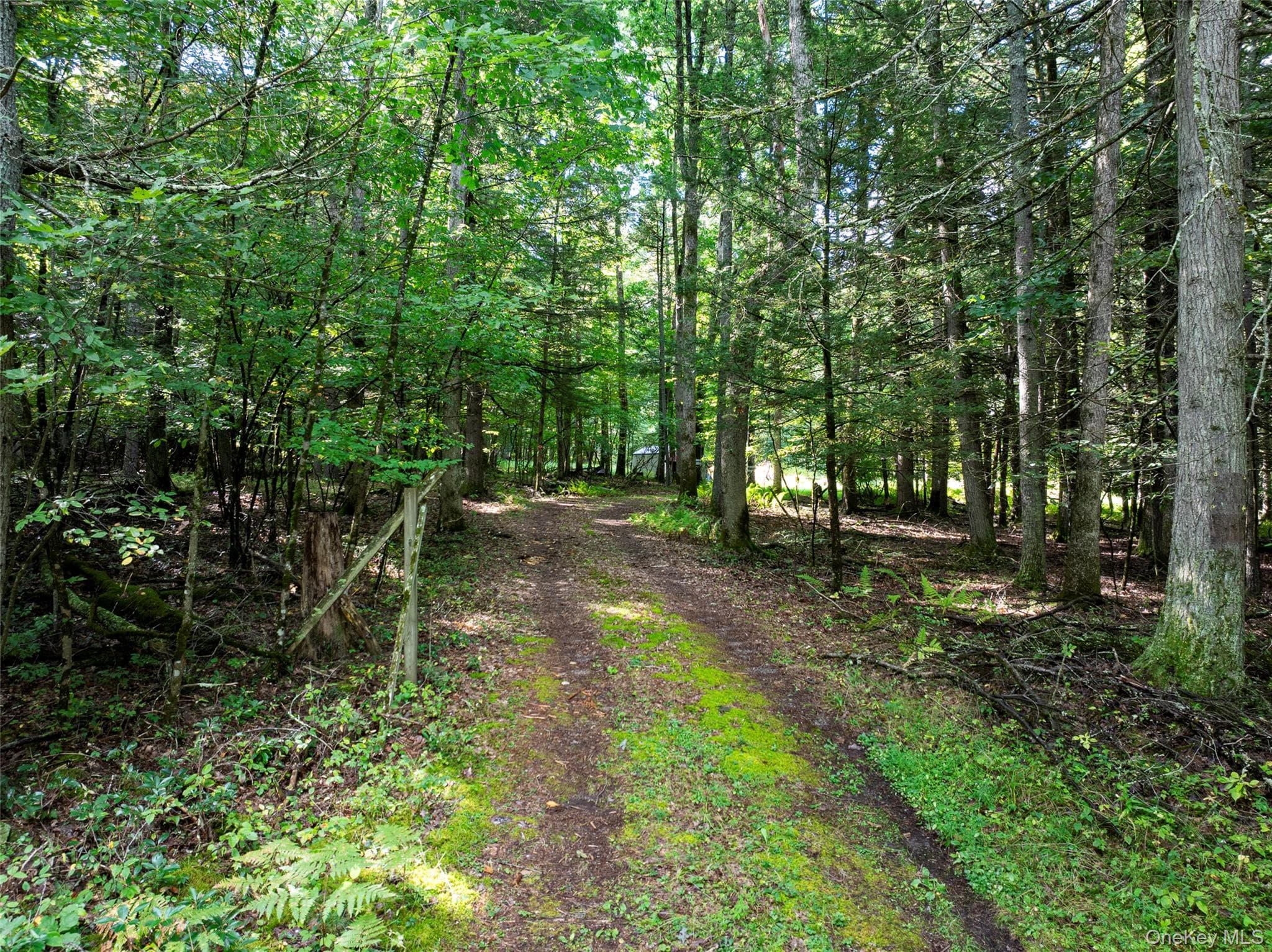 83 Perry Pond Road thumbnail 2