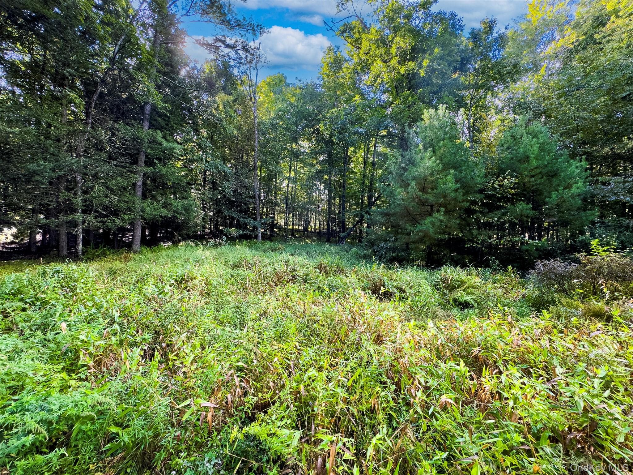 83 Perry Pond Road thumbnail 8